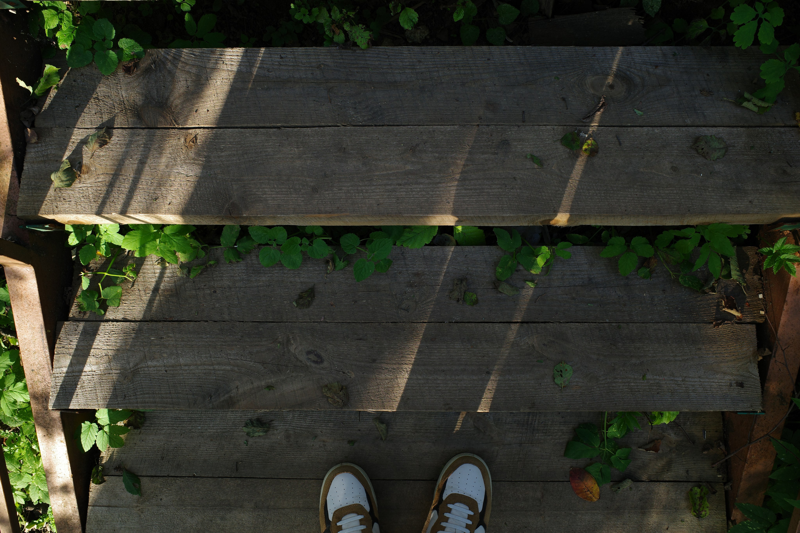 Константин Устинов — фотограф