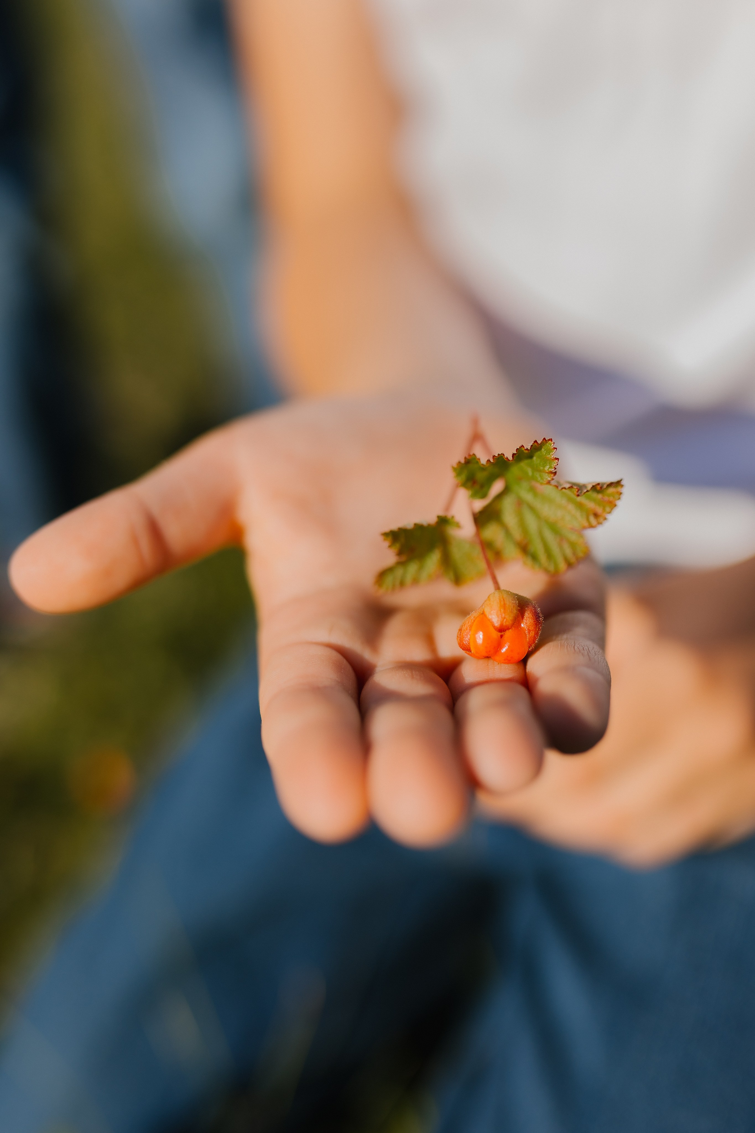 Семейная фотосессия в домике. Фотограф и видеограф в Мурманске, Москве Екатерина Нечаева