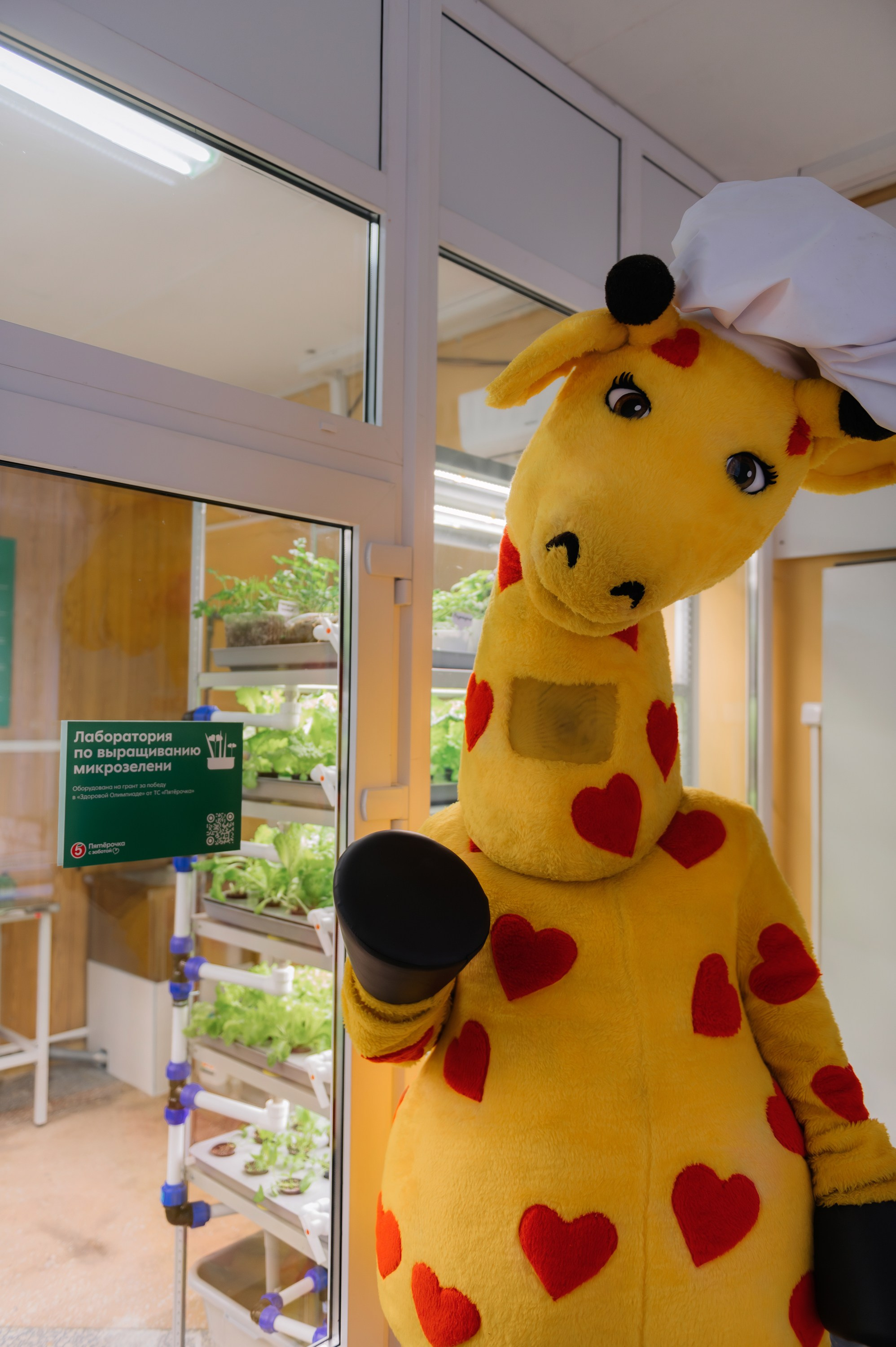 Пятёрочка. Школа питания. Фотограф в Волгограде Виталий Самойлов