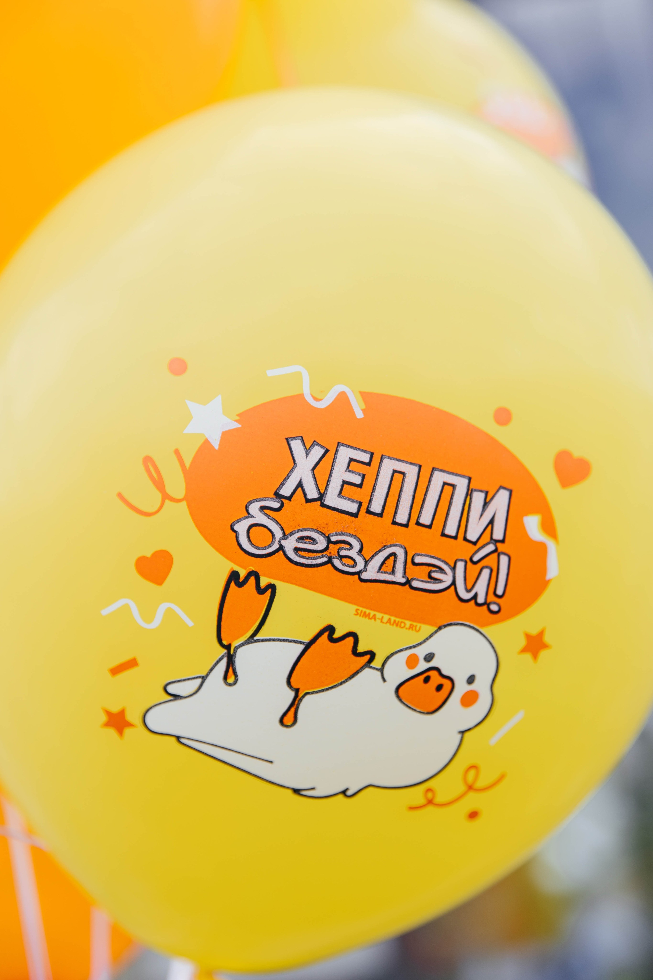 ДР Лены. Профессиональный фотограф Тольятти | Самара | Москва | Сочи