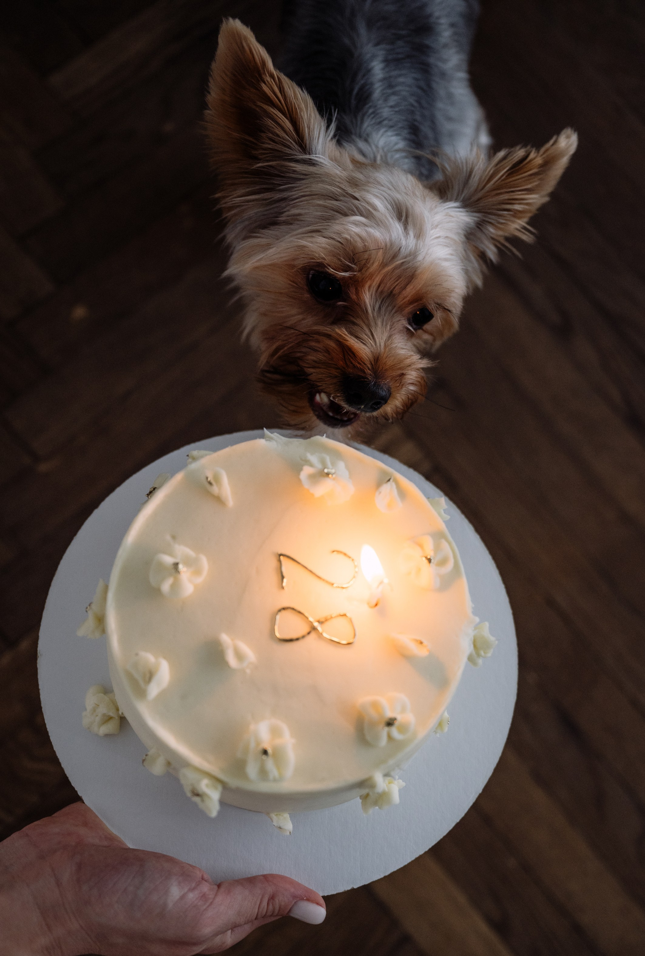 Анна и Дастин. Фотограф в Москве Алёна Степутенко