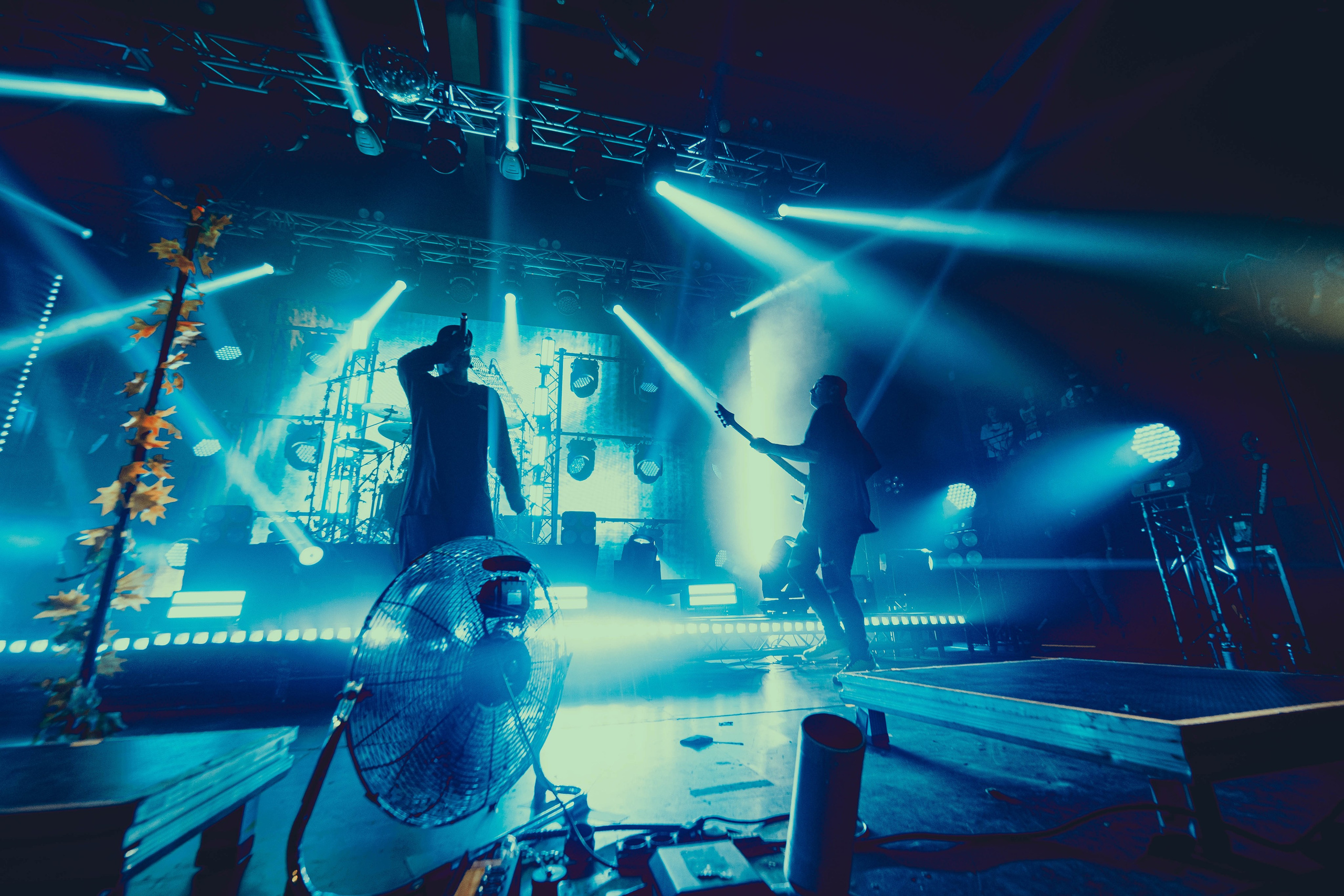 Stigmata 15.11.2025. Фотограф Дядя Сник