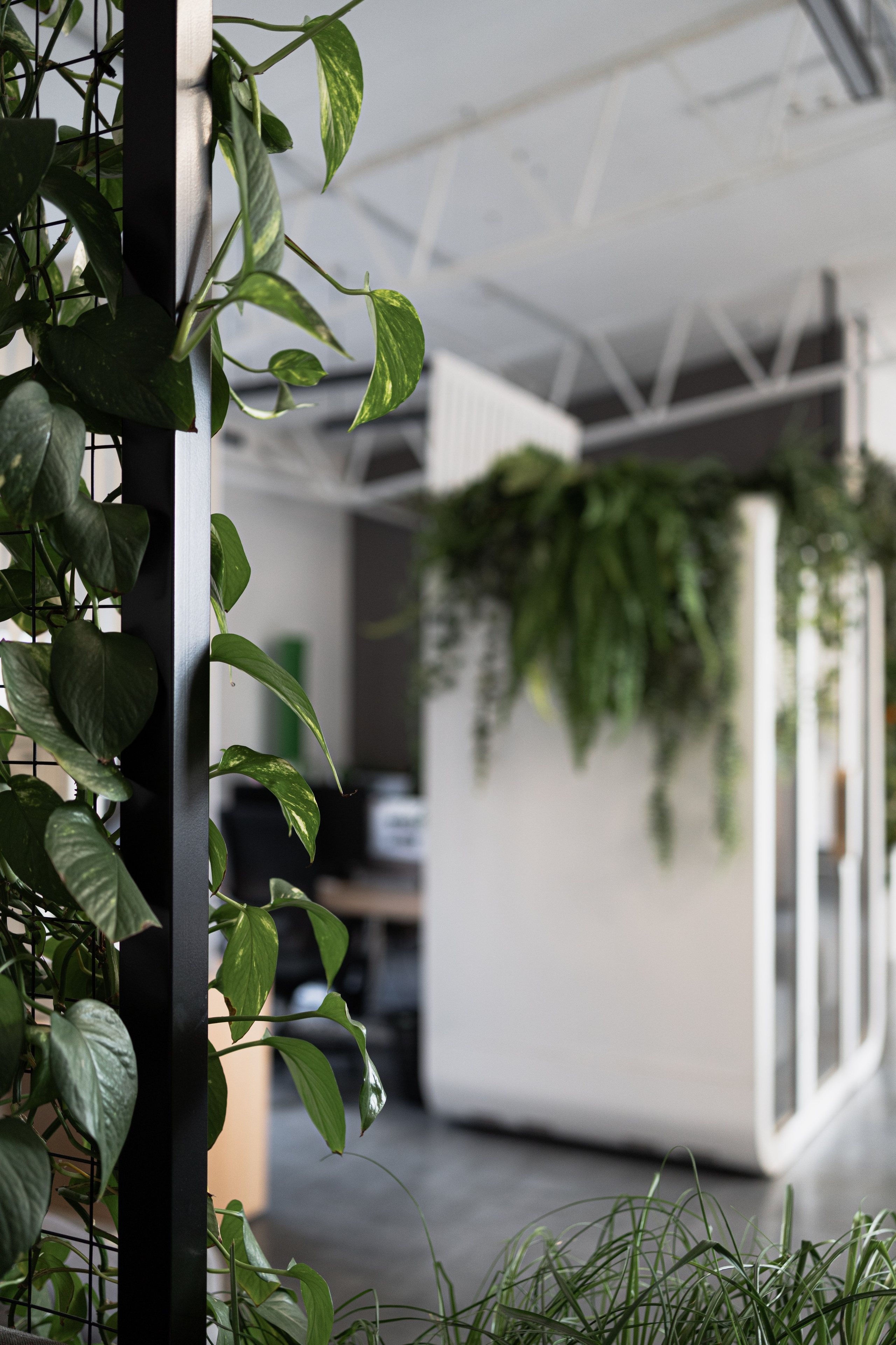 Terra. Елена Пашкевич, фотограф, Москва