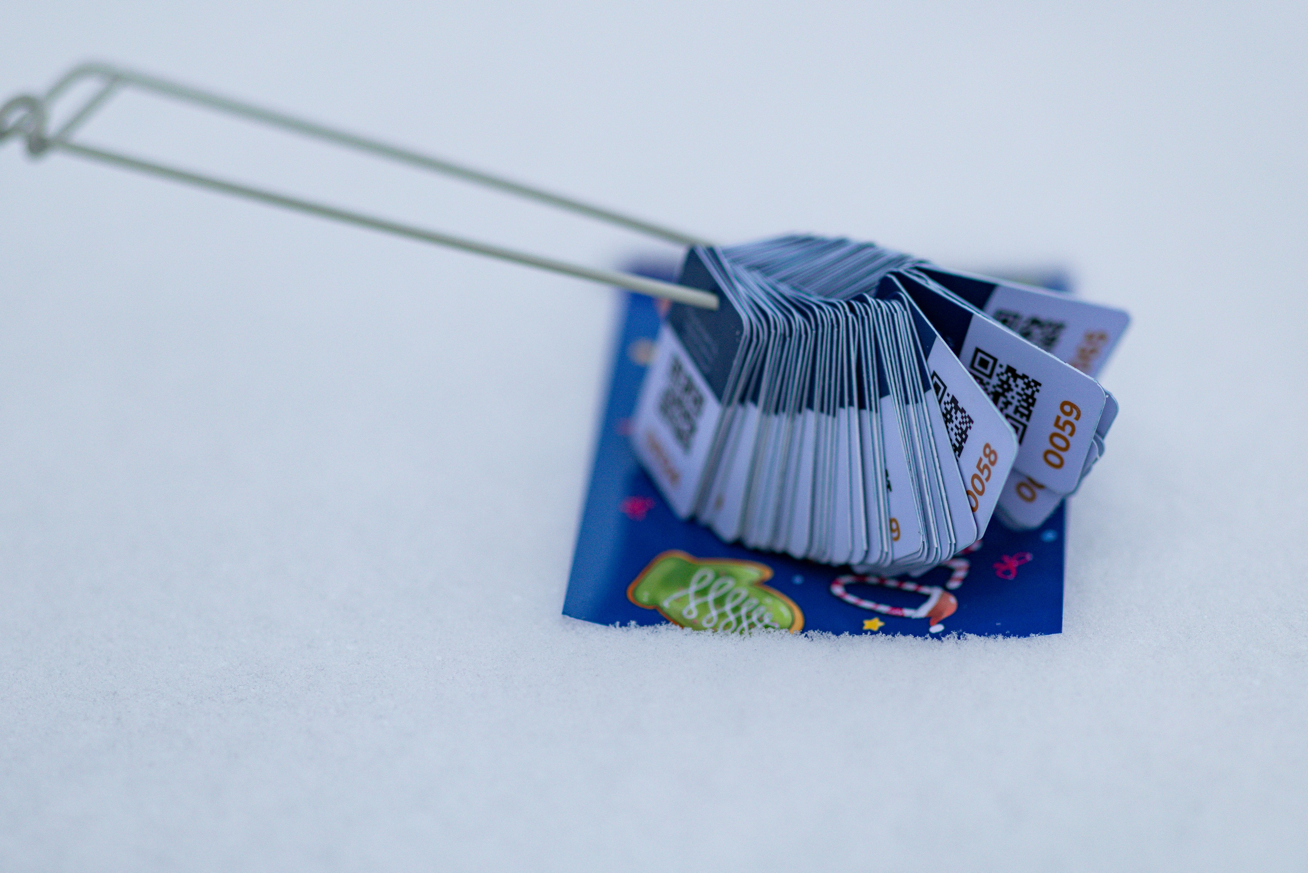 5 вёрст в столице русского Севера — Вологде, 03.01.26. Фотограф Сергей Ловкий
