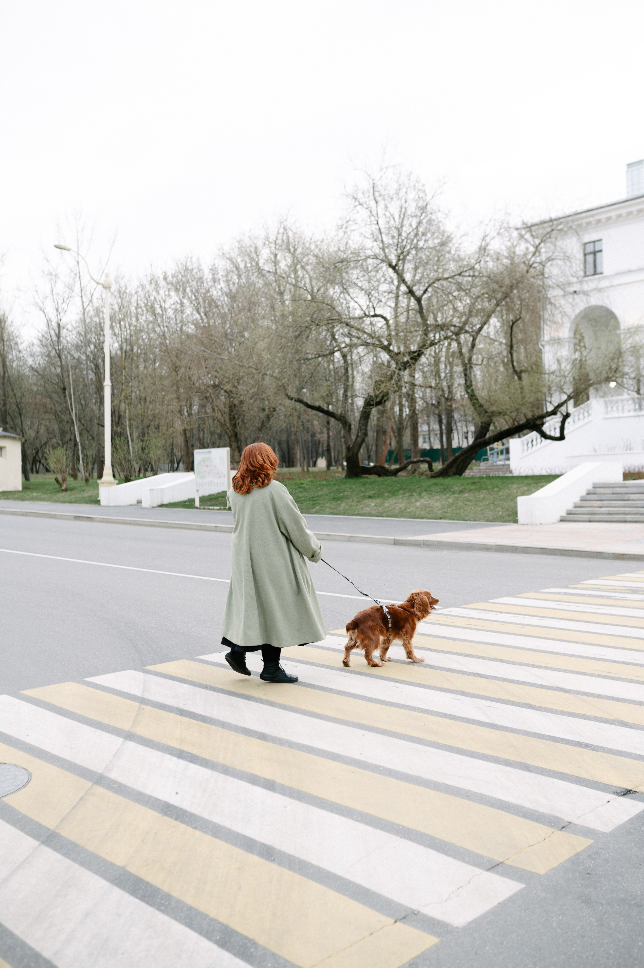 Рыжая команда. Фотограф анималист в Москве Ольга Агушева
