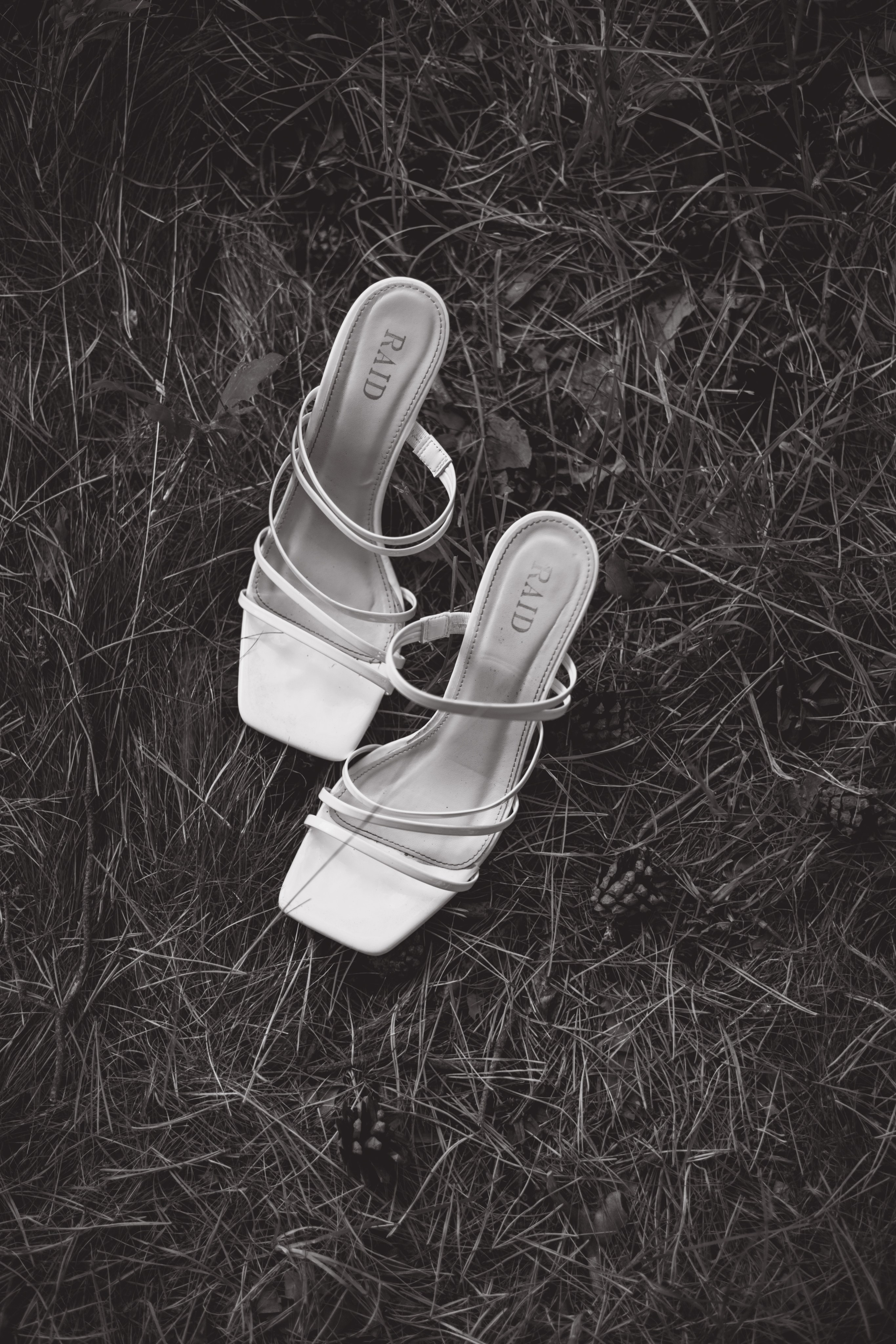 Валерия. Майорова Валерия Фотограф Ставрополь