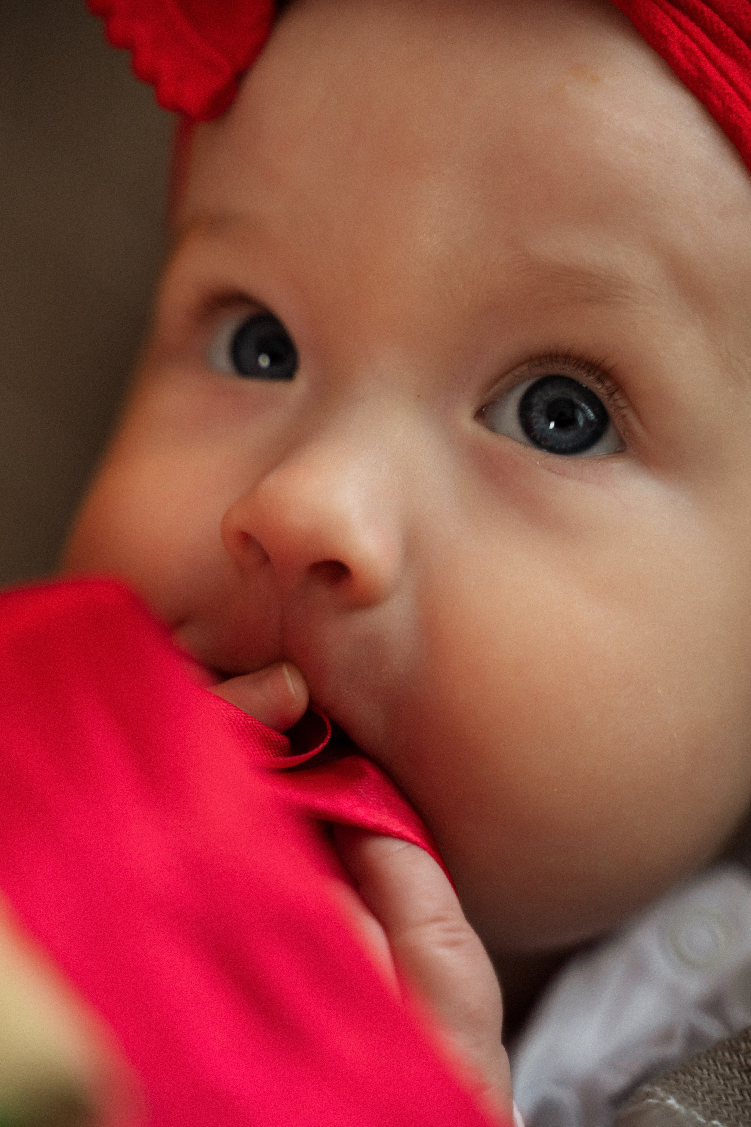 Аня и её семья!. Фотограф Алина Филимонова Тверь