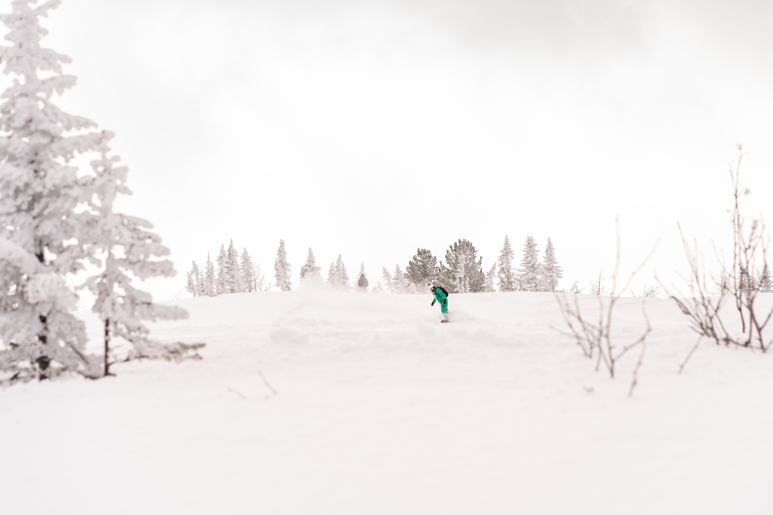 Фрирайд. Анастасия Паршукова — фотограф Шерегеш Новосибирск