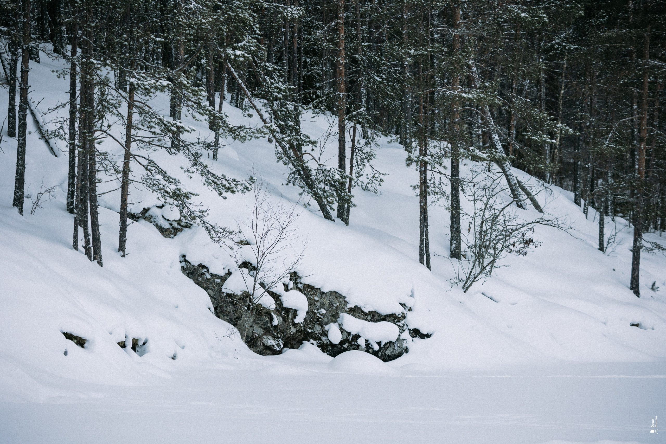 Прогулка по озеру. Портретный фотограф Денис Милютин