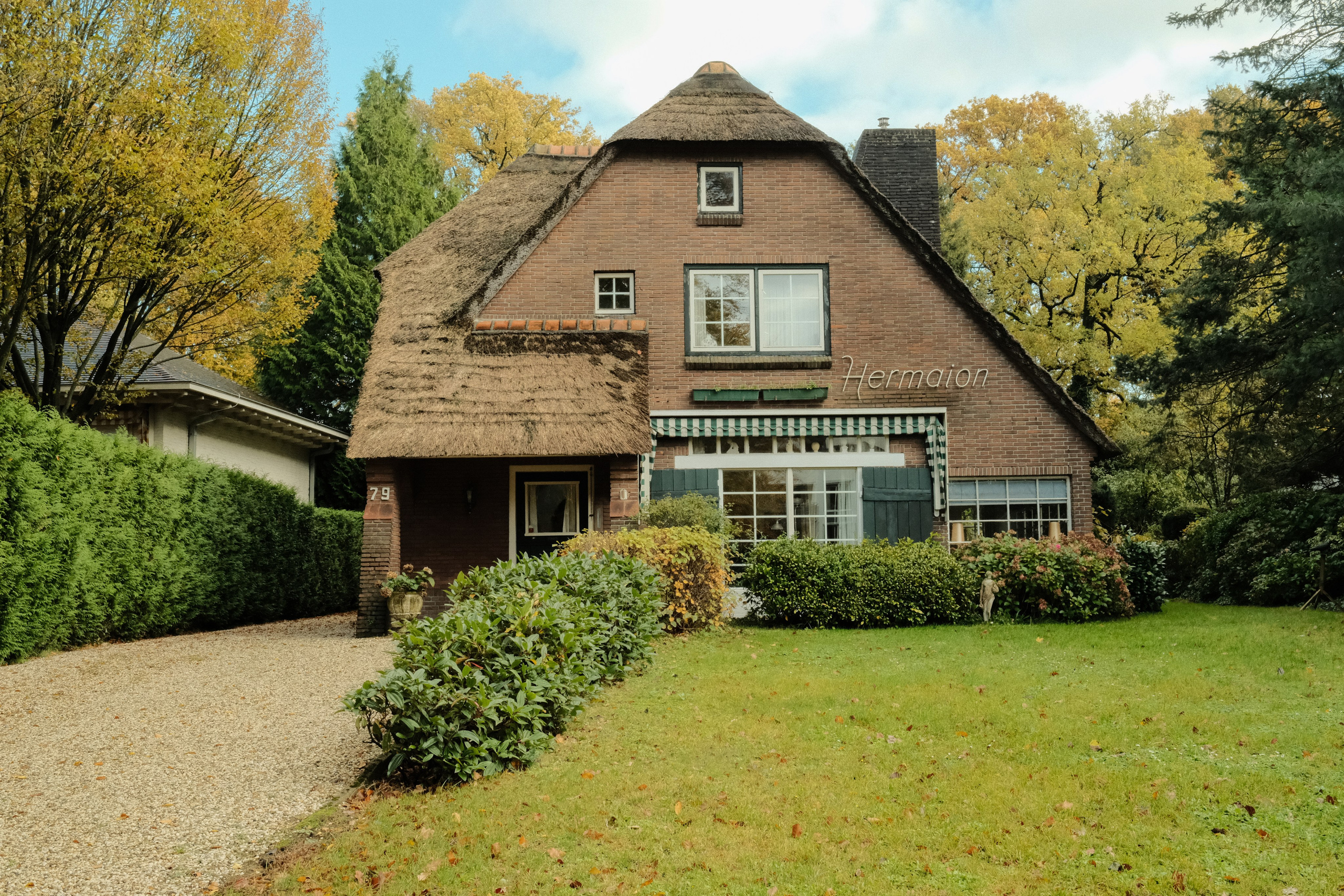 Фотографии Нидерландов | Филипп Линзин. Репортажный и портретный фотограф в Санкт-Петербурге Филипп Линзин