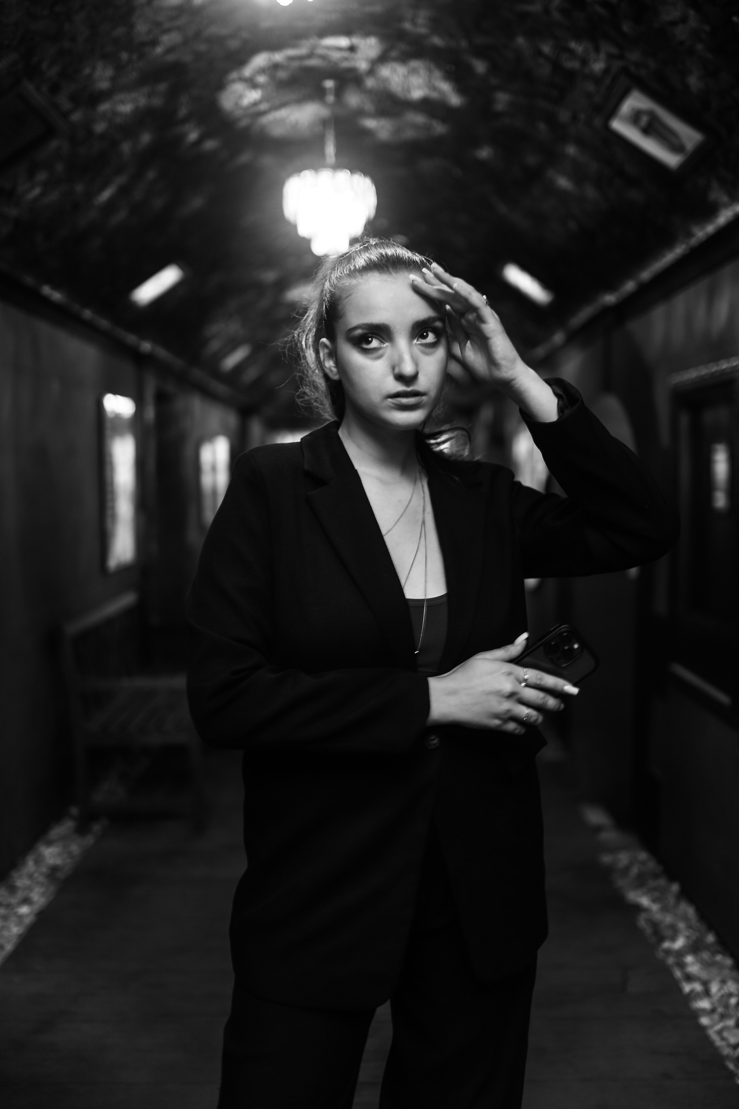 25.Диана и гости