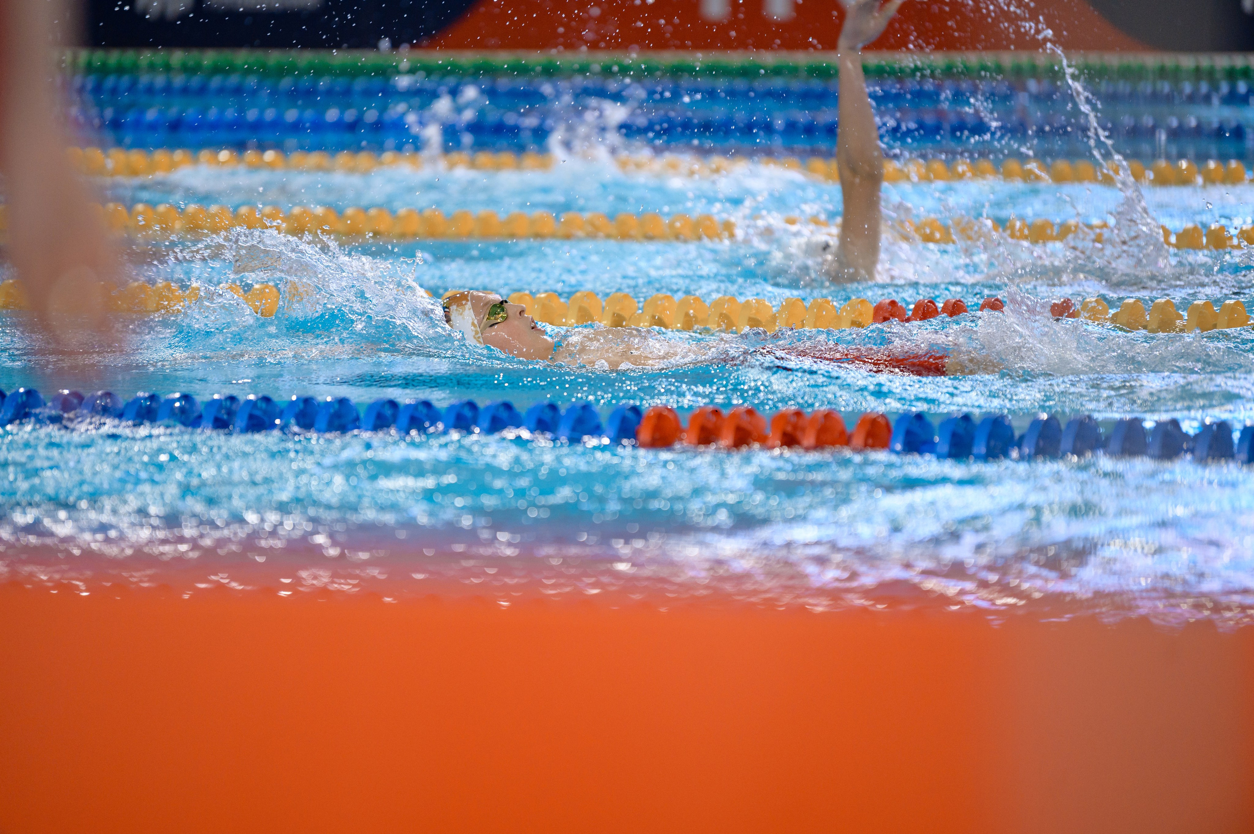 МОСКОВСКАЯ ЛИГА ПЛАВАНИЯ. РЕПОРТАЖНЫЙ И БИЗНЕС ФОТОГРАФ В МОСКВЕ, ЕГОР НИКОЛАЕВ