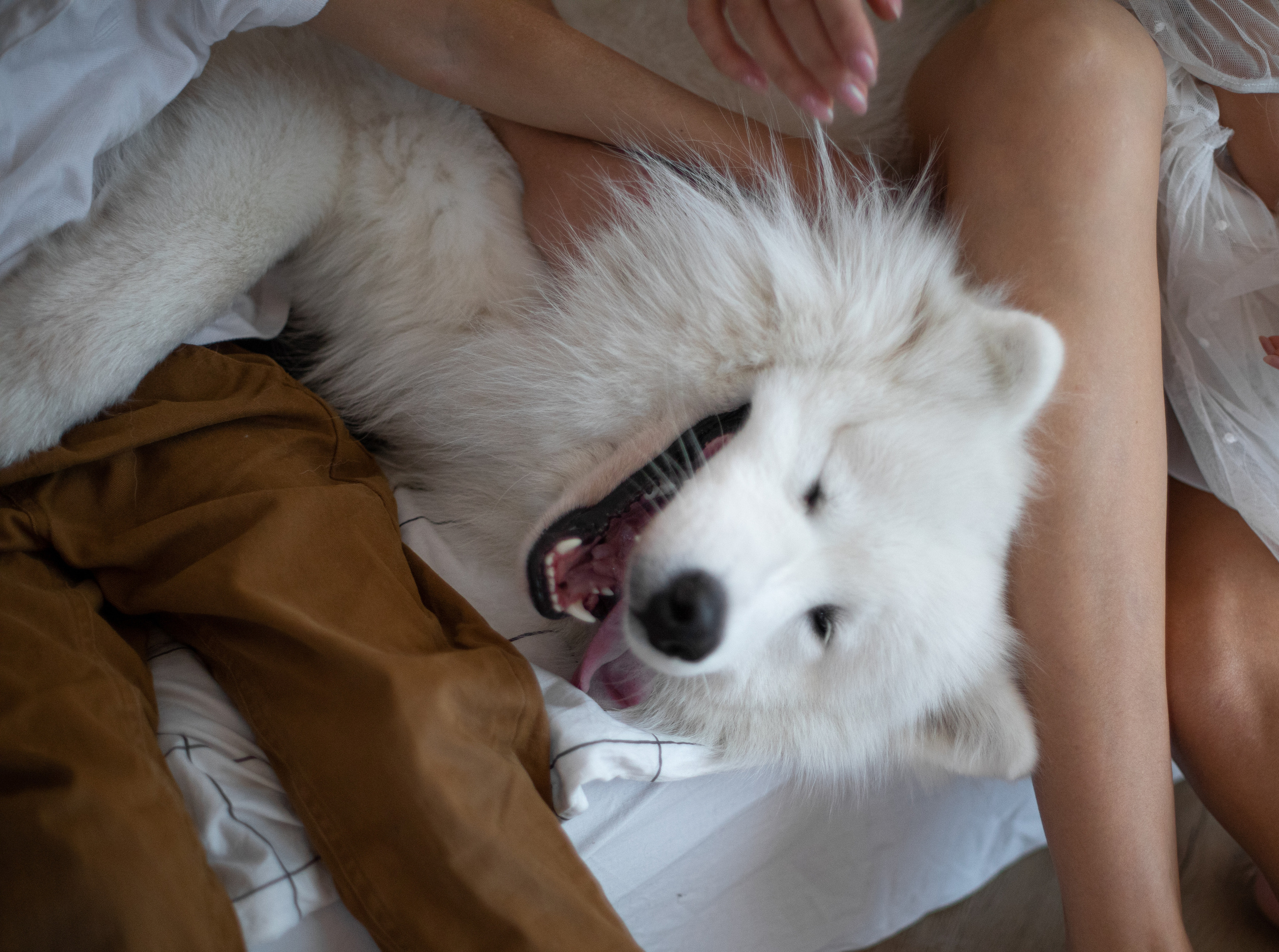 Новогодние фотоистории. Семейный фотограф Наталия Смирнова