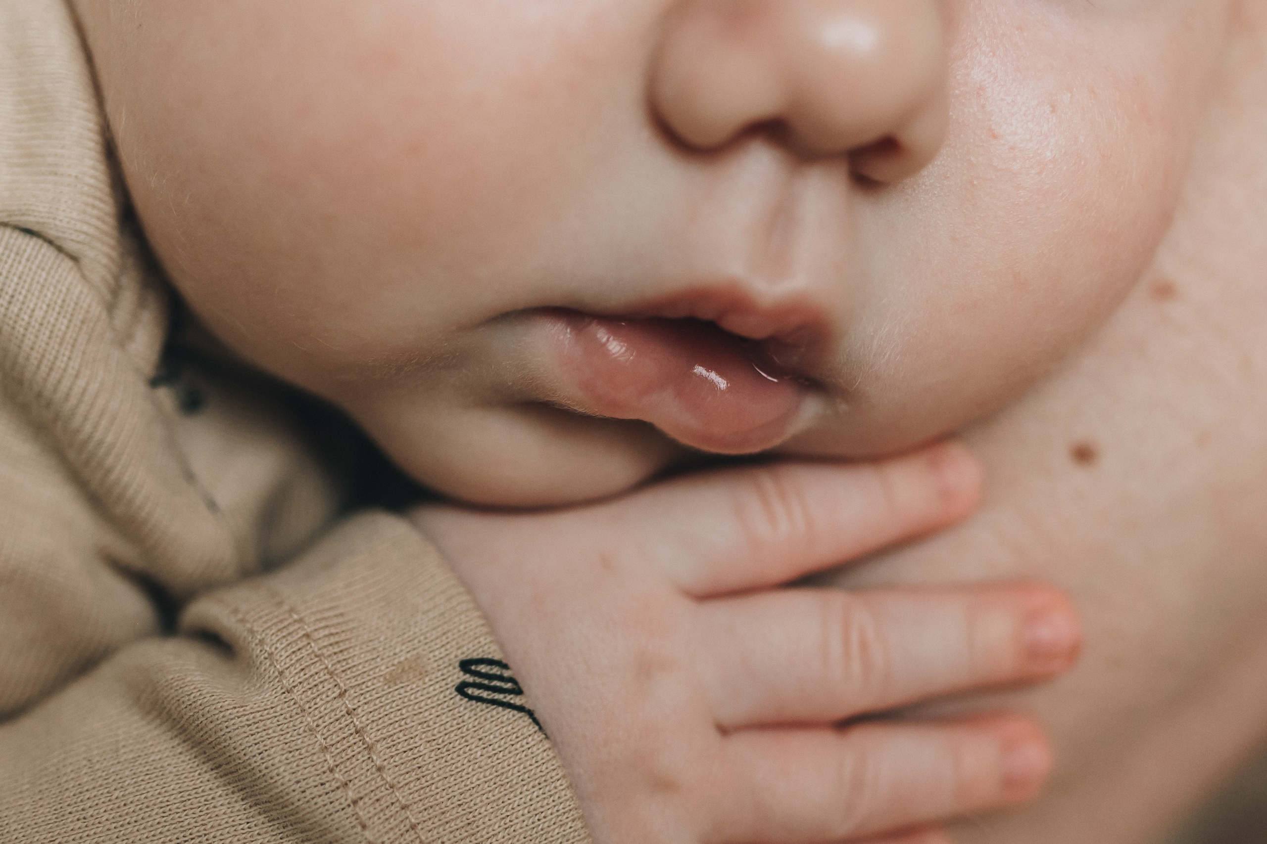 Sveta Dima Kira & Artem. Natalia Finch Photography — Family, Kids & Pet Photographer in Chicago, IL