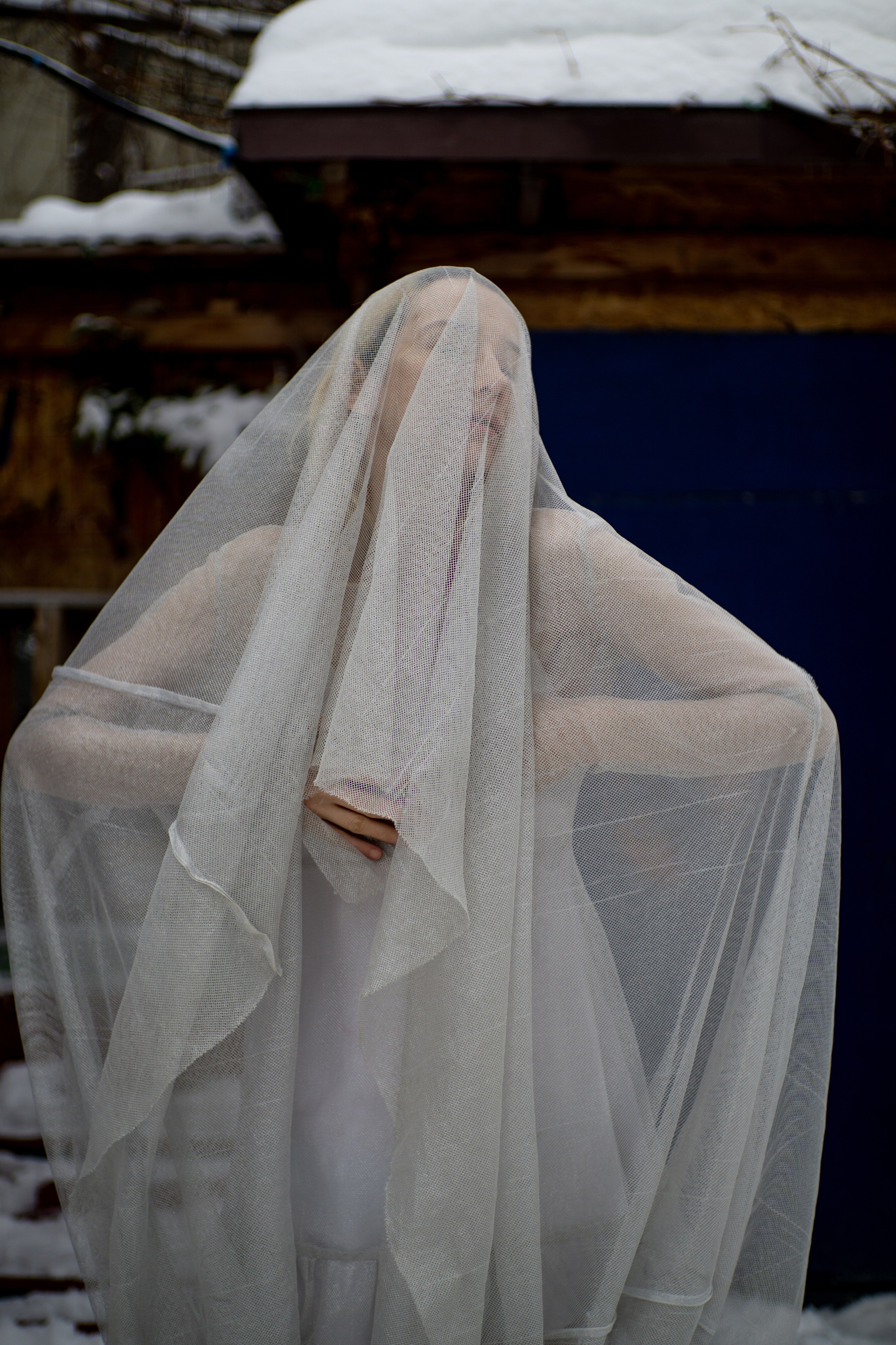 Зимняя невеста