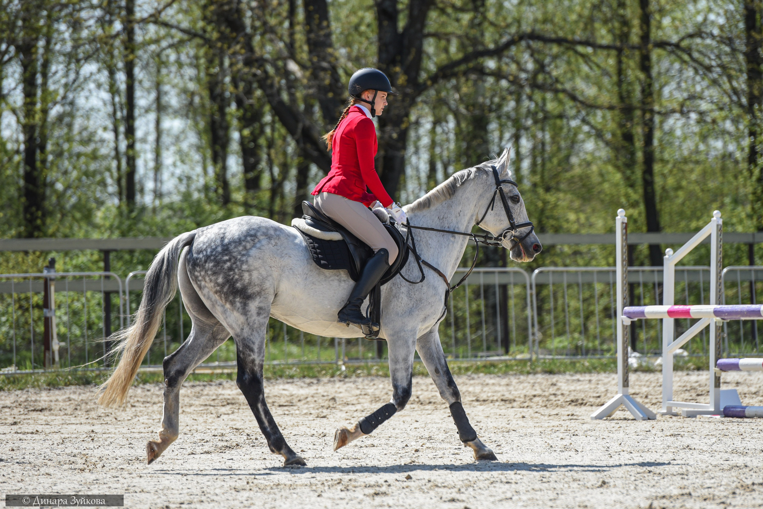 Конкур «Za Победу» КЭК Ассамблея. Мотофотограф в Нижнем Новгороде Динара Зуйкова
