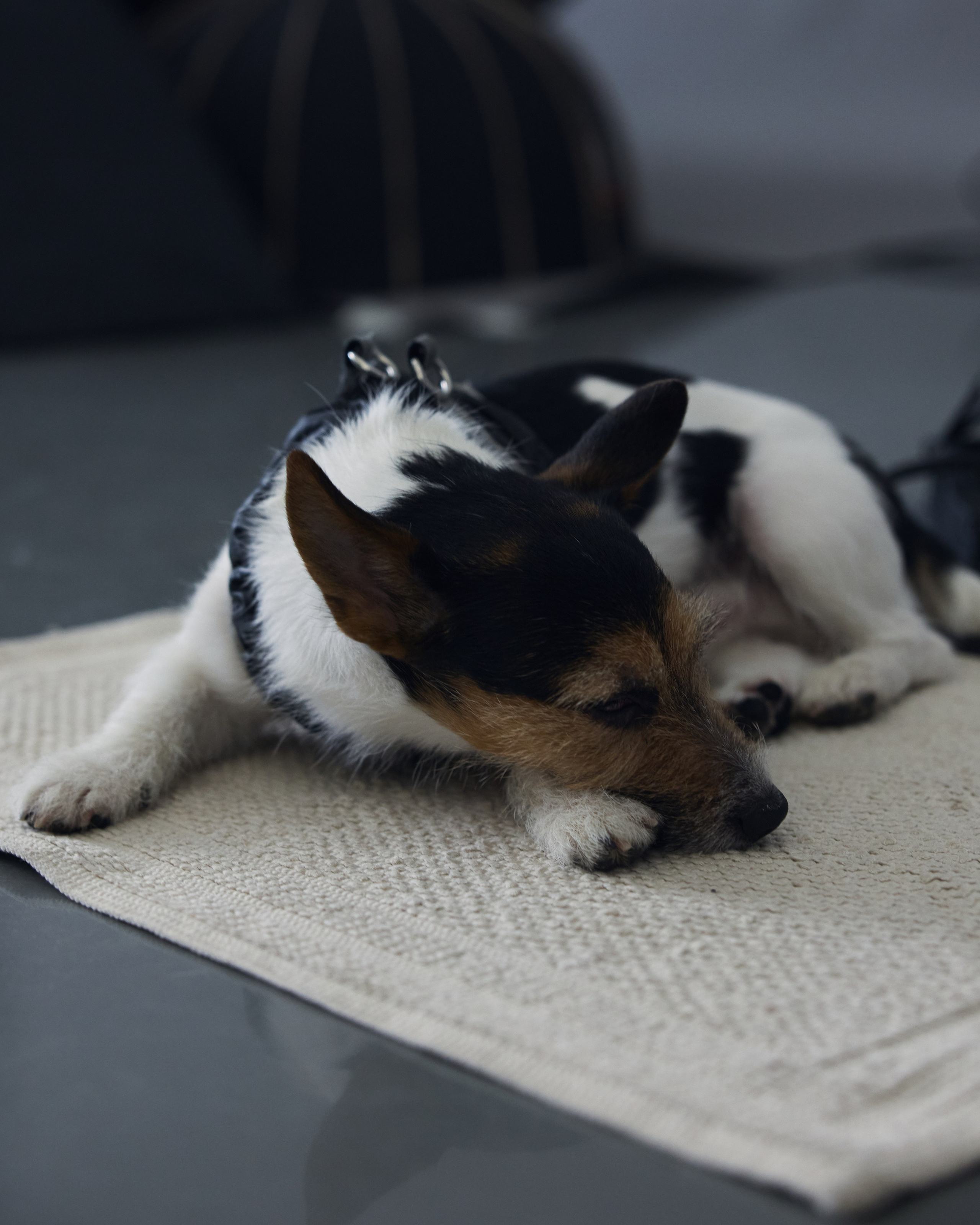 Репортаж. Главная