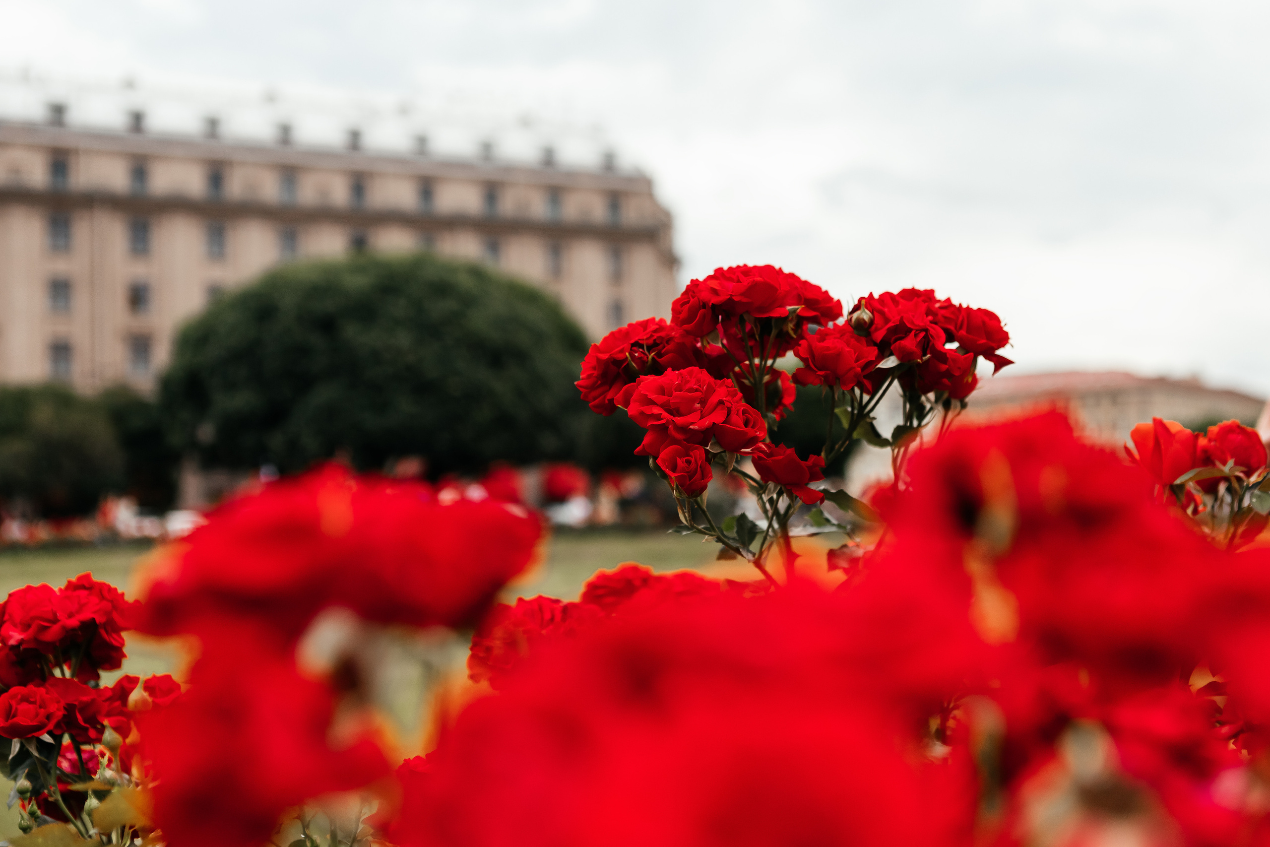 Н & С. Семейный и свадебный фотограф в Петербурге Евгения и Николай Шевчук