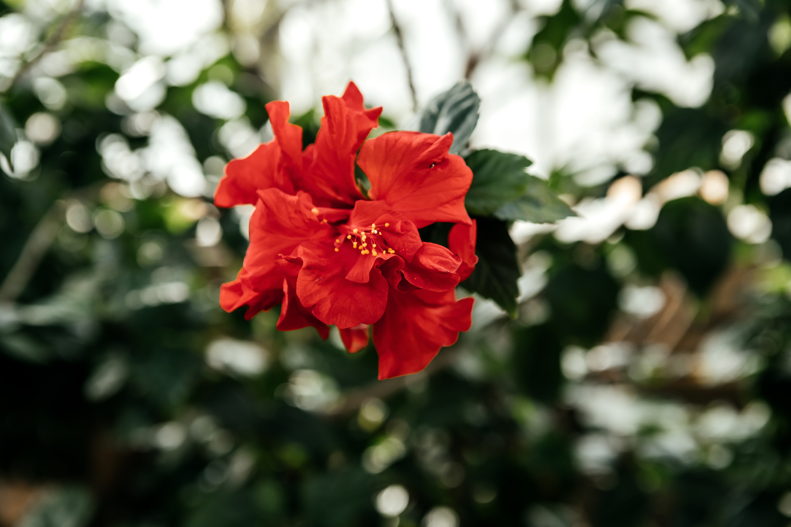 Д & Т. Семейный и свадебный фотограф в Петербурге Евгения и Николай Шевчук