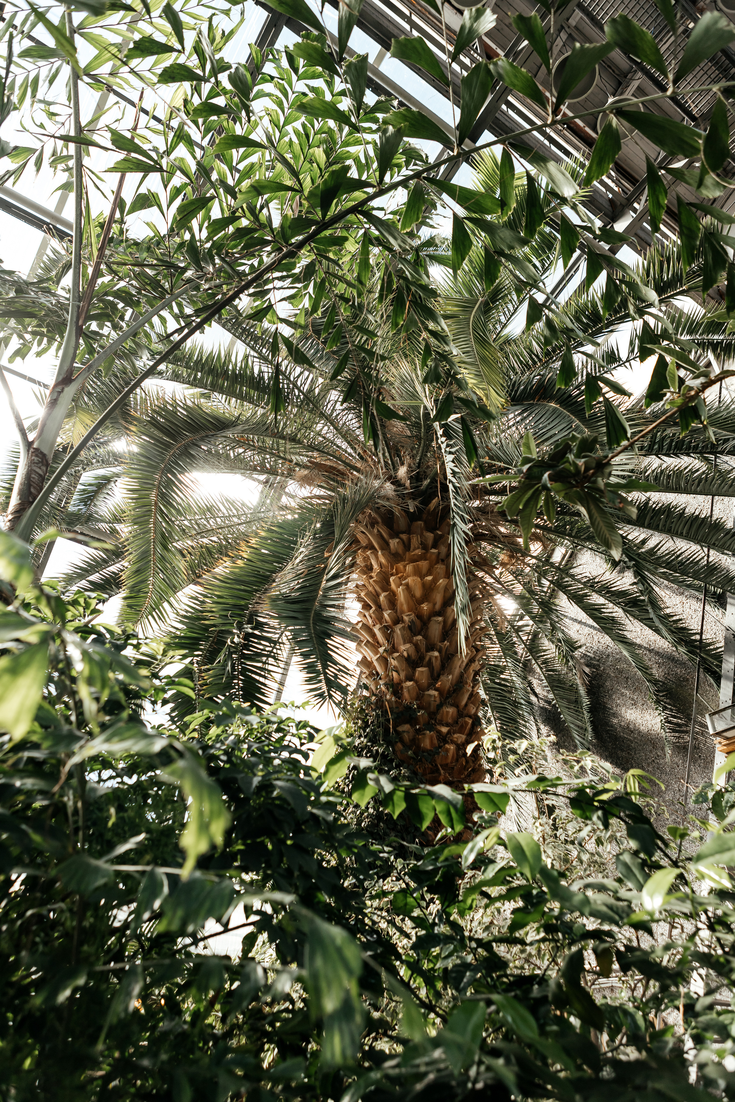 Д & Т. Семейный и свадебный фотограф в Петербурге Евгения и Николай Шевчук