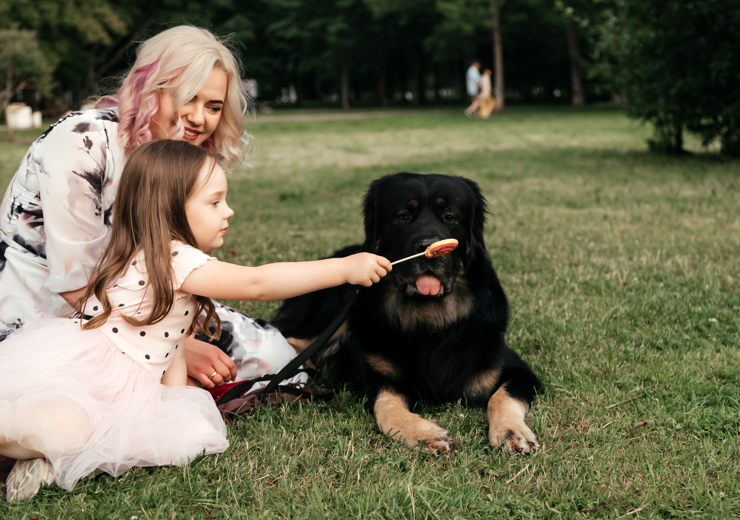 Летний вечер в парке 300-летия. Семейный и свадебный фотограф в Петербурге Евгения и Николай Шевчук