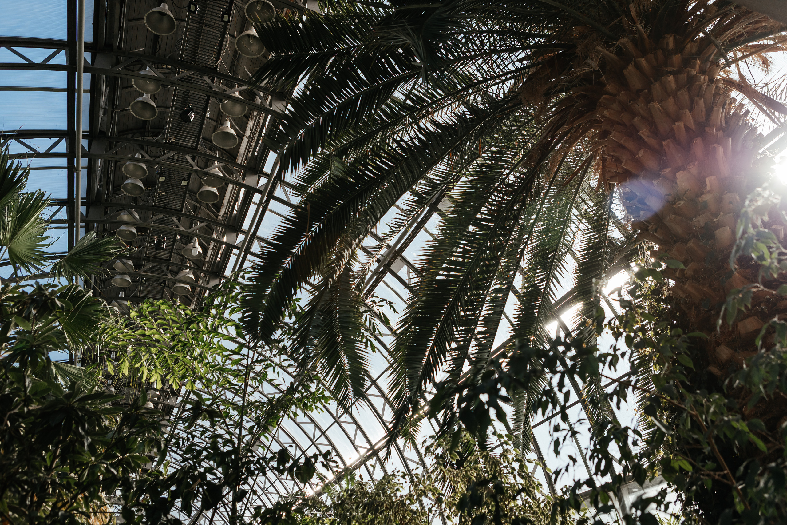 Д & Т. Семейный и свадебный фотограф в Петербурге Евгения и Николай Шевчук