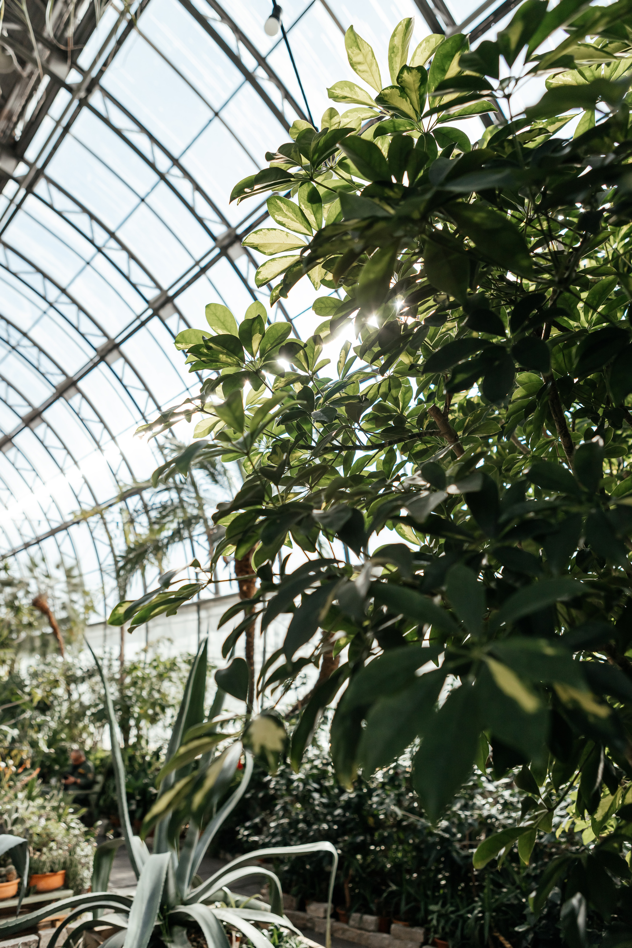 Д & Т. Семейный и свадебный фотограф в Петербурге Евгения и Николай Шевчук