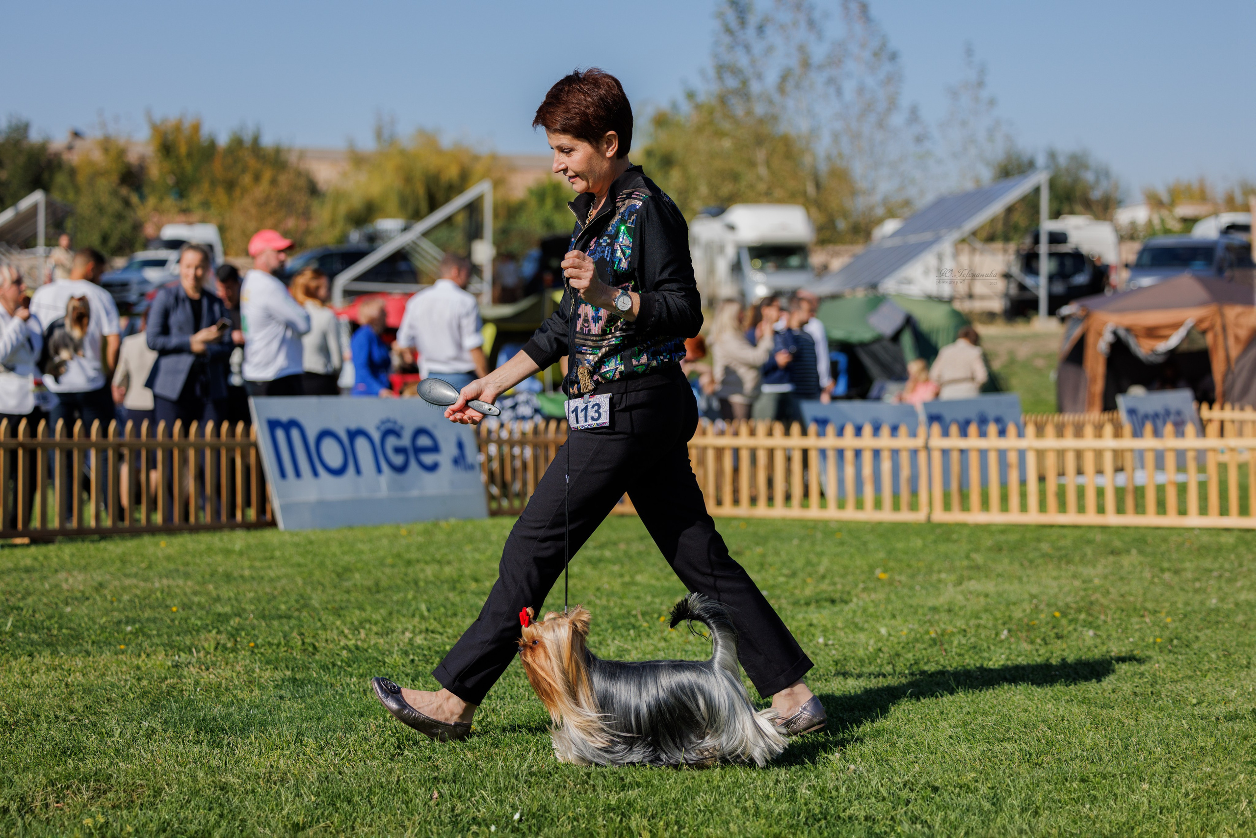 Ереван 14-16.10.2025. Фотограф-анималист Юлия Германика