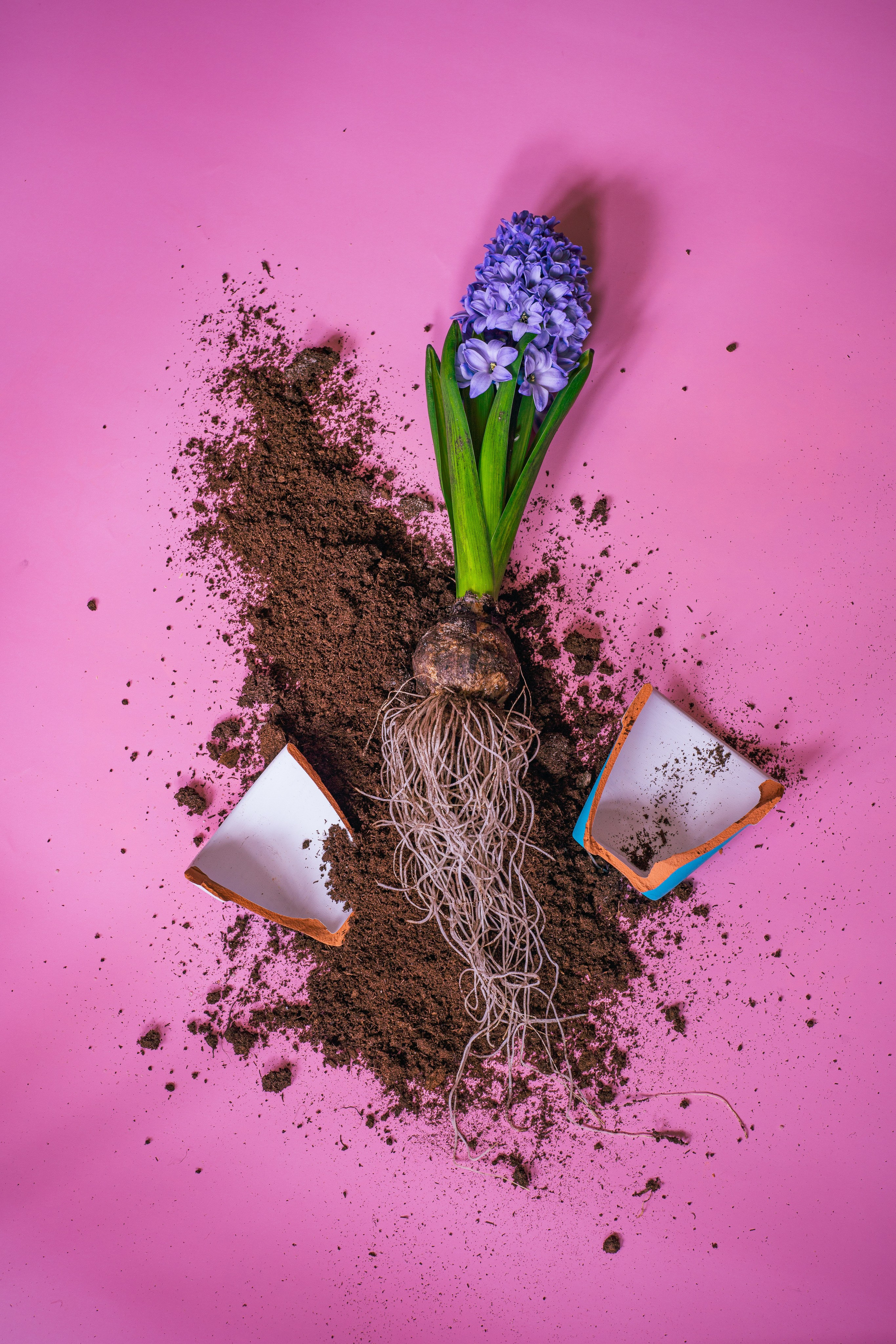 Предметная Фотография. Фотограф г. Тамбов г. Воронеж Богдан Тарасов