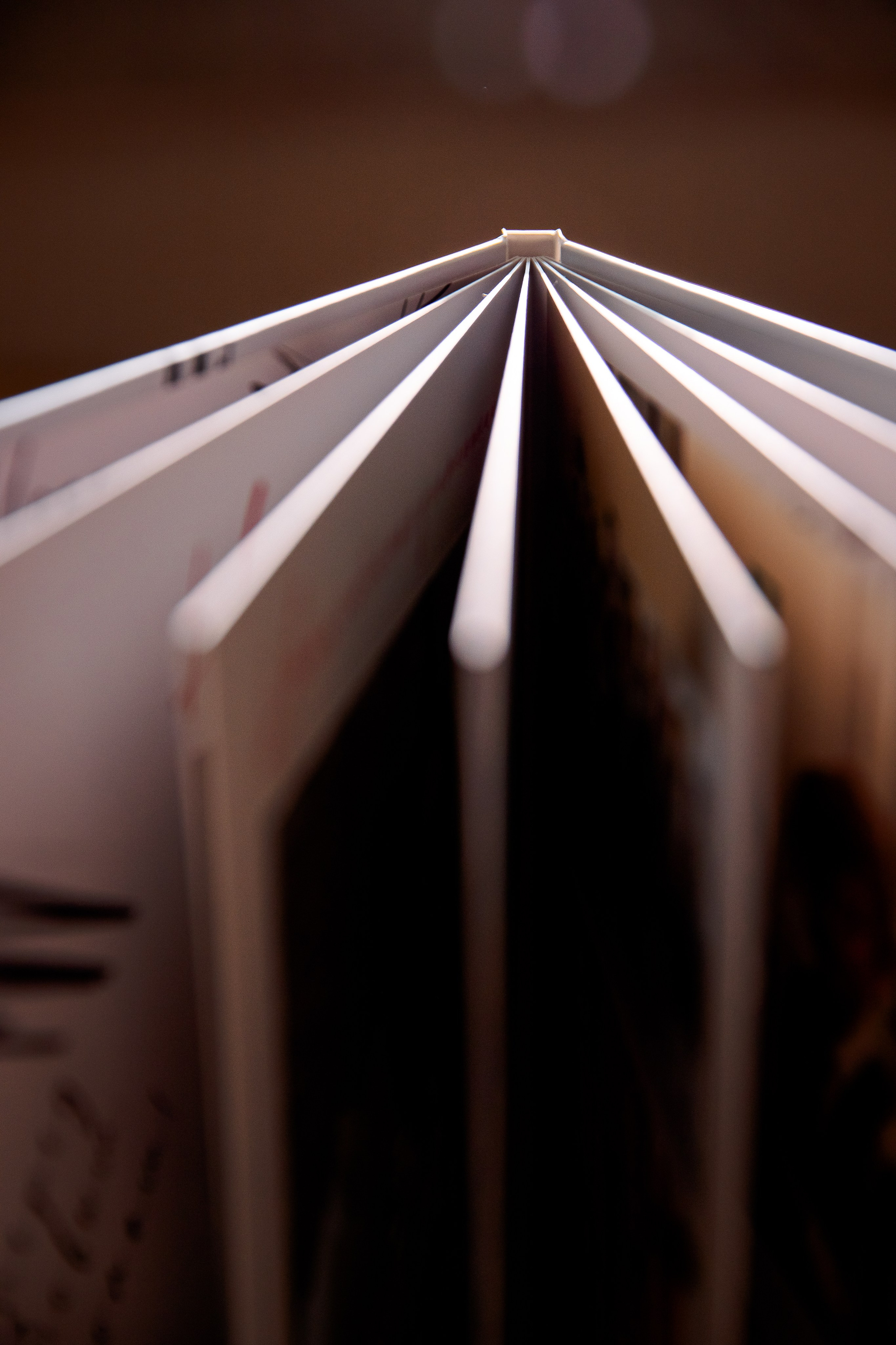 Альбомы 4 «Е». Семейный и детский фотограф в Москве Тихонова Ксения