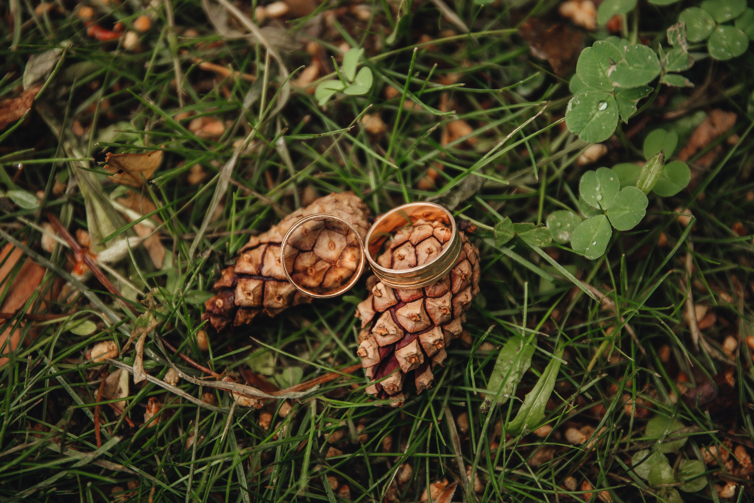 Ксюша & Женя. Розовая свадьба. Свадебный и семейный фотограф Пушкин Царское Село СПБ Питер Санкт-Петербург и Рязань Ольга Козлова
