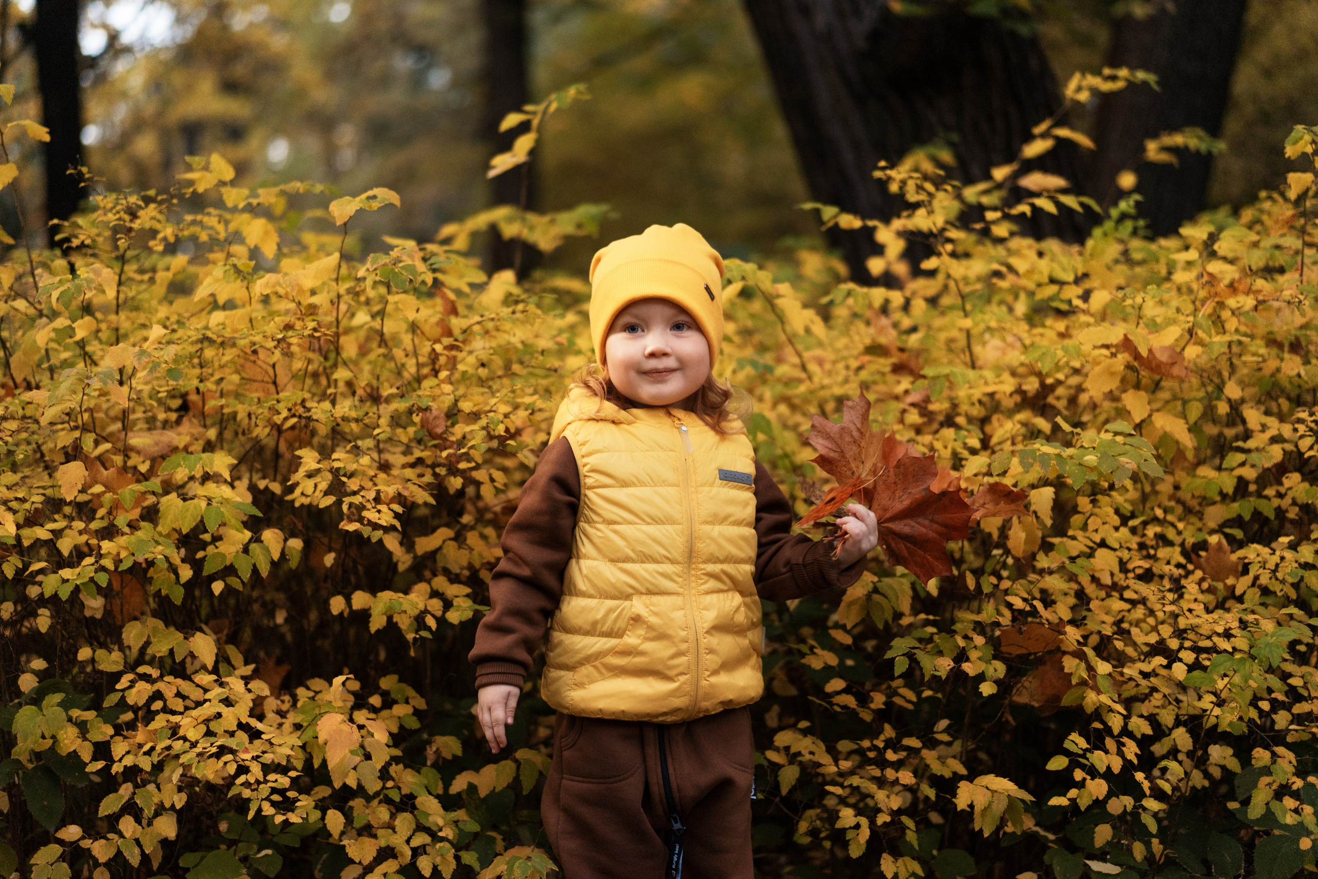 Порогулка в ЦПКиО. Семейный и детский фотограф в Санкт-Петербурге Дарина Герчиу