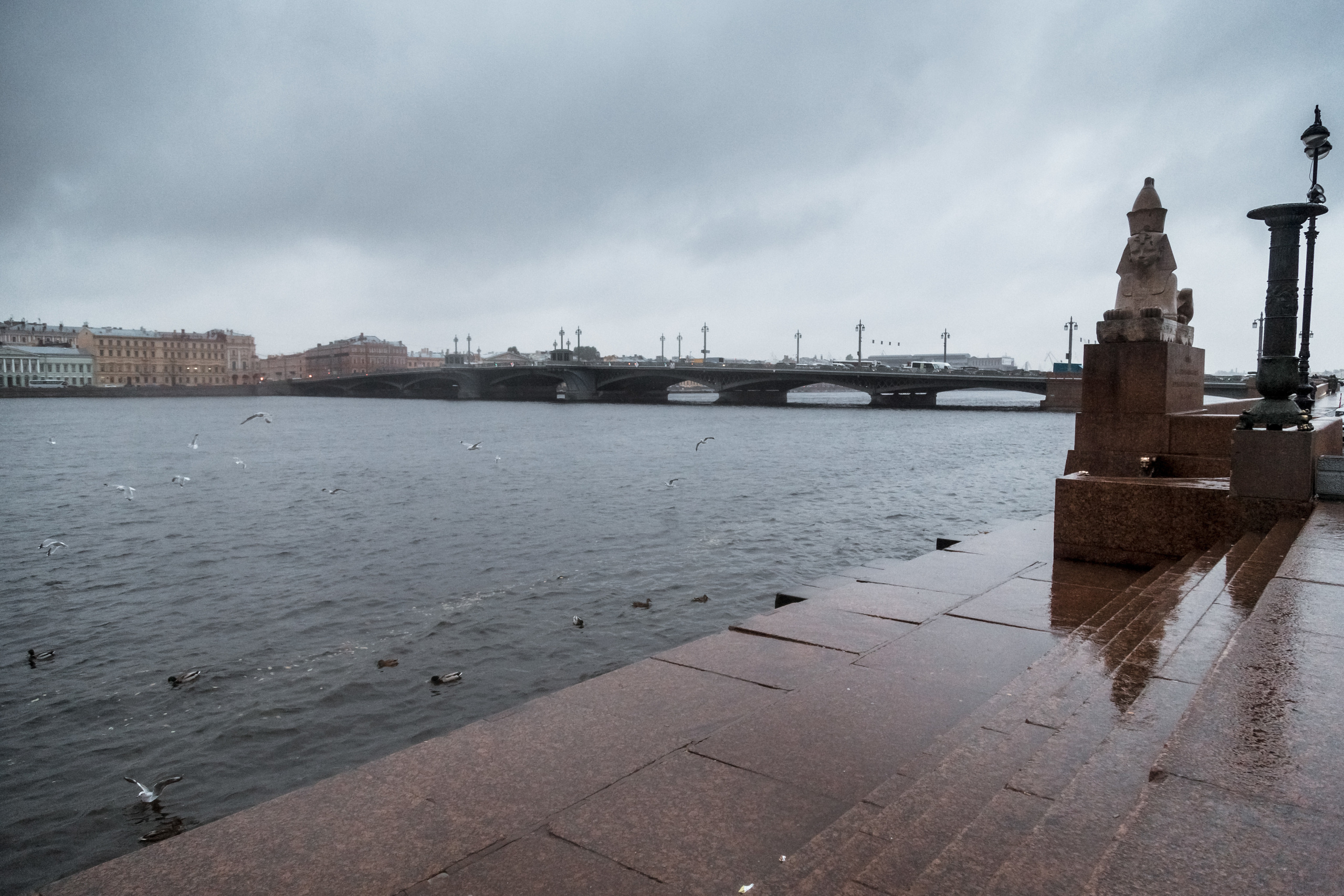 Peterfilm.ru -  Свадебная серия Даши и Юхи. Блог фотографа Петра Михай