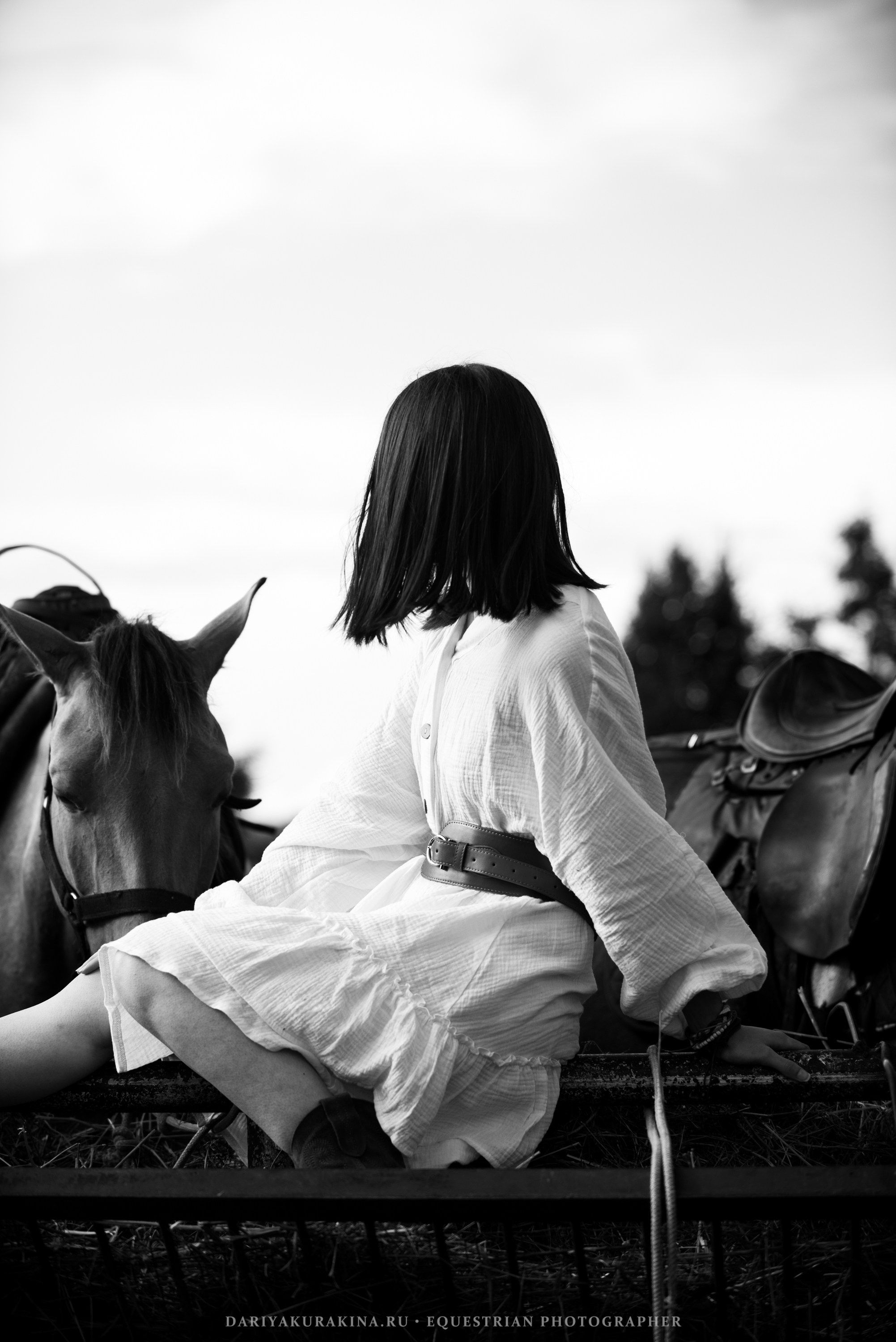 Алиса — Аванпост. Конный фотограф Куракина Дарья • Фотосессии с лошадьми