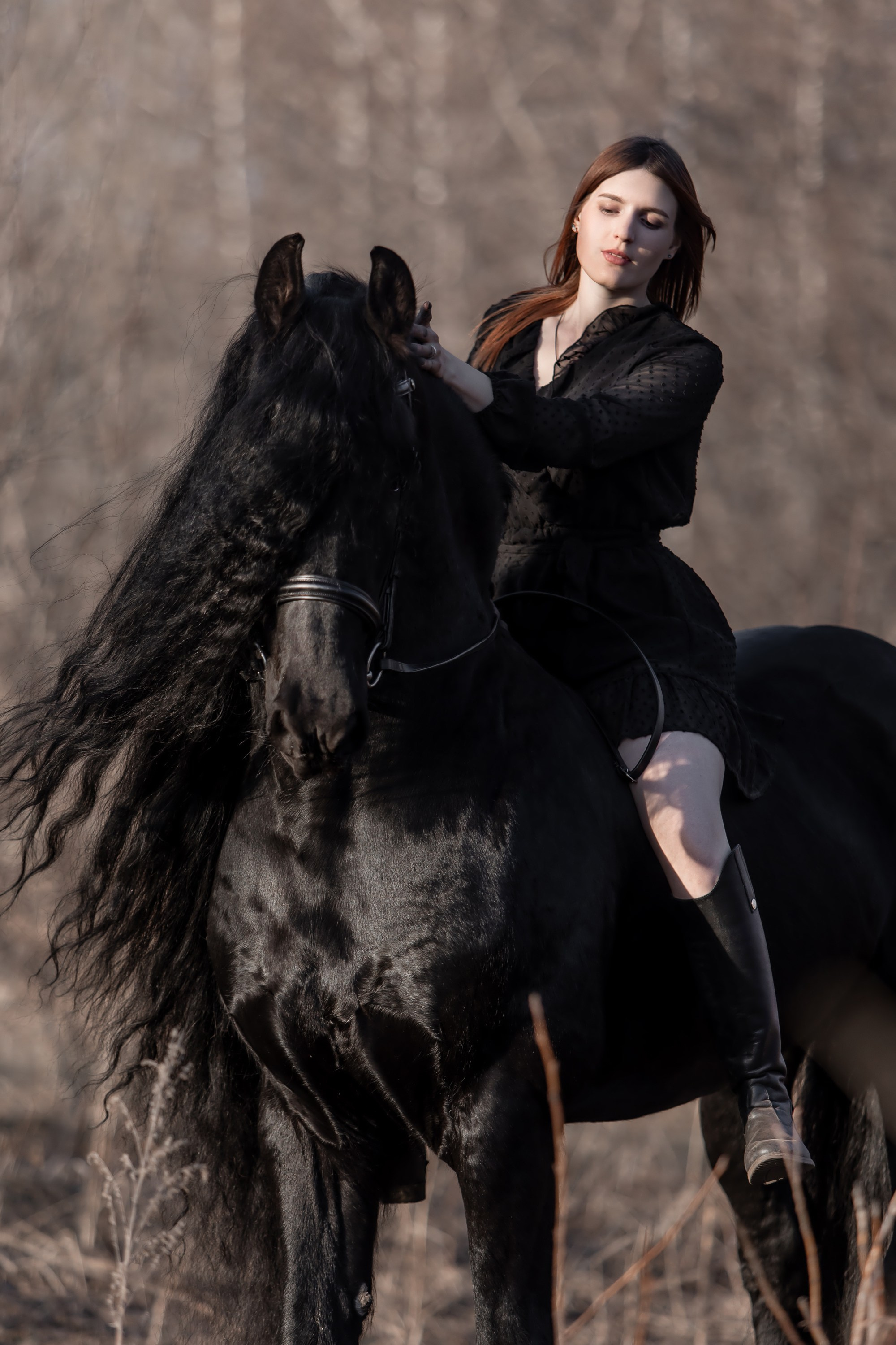 Фотосессии с лошадьми. Главная