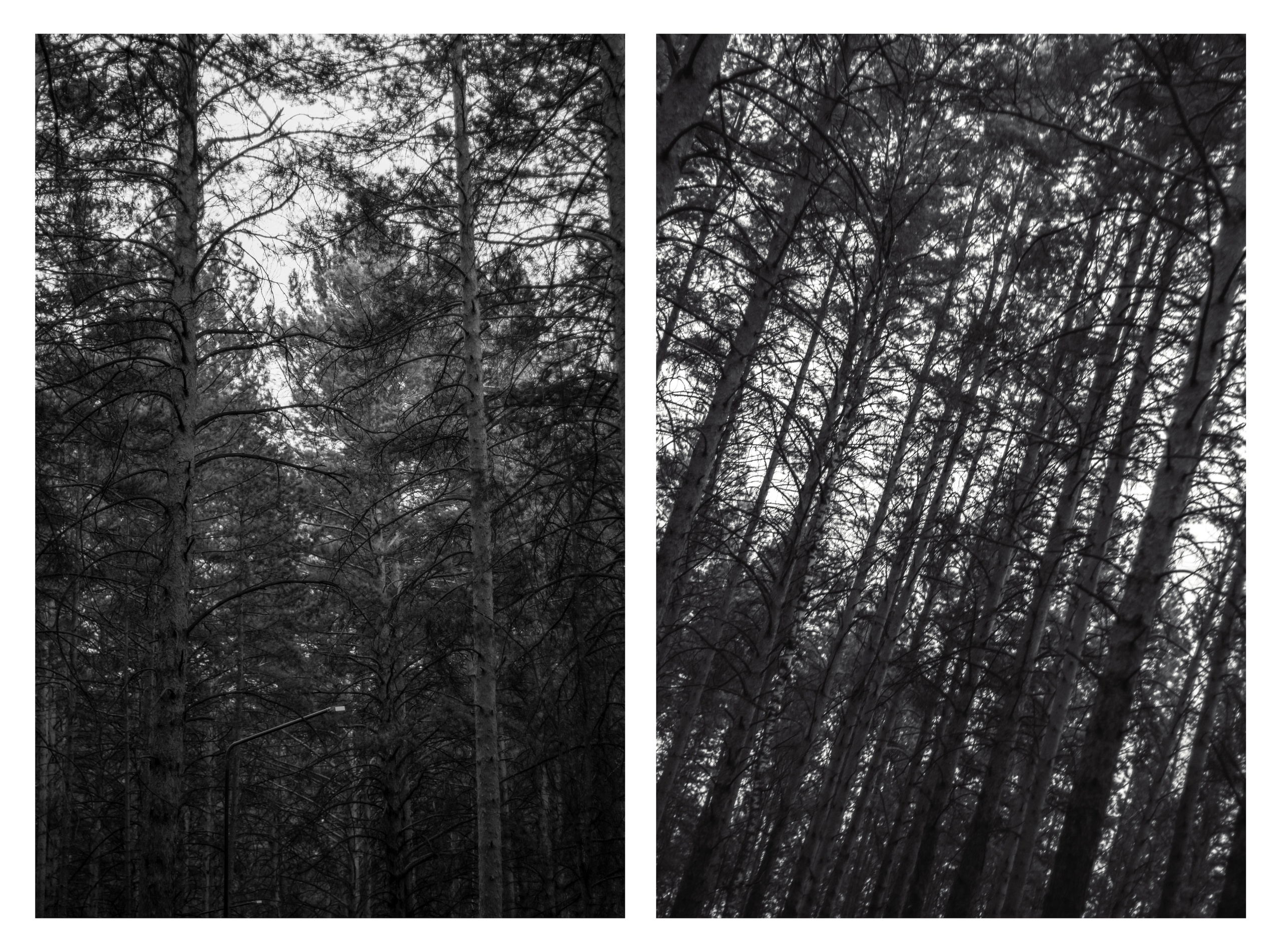 27.04.2025 | Сосновоборск. Kuznetsov | Фотограф в Красноярске