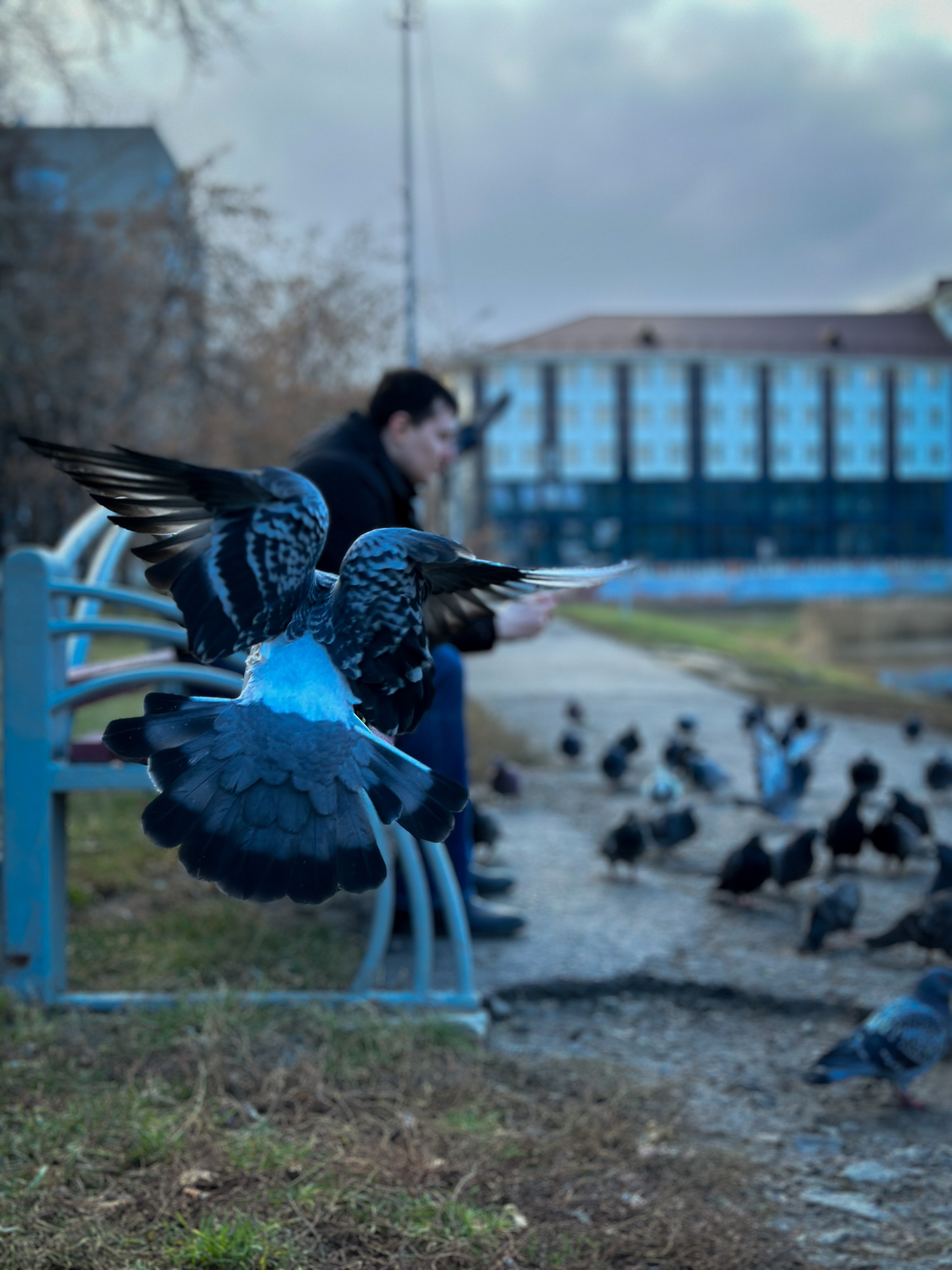 Прогулочная фотосессия с Димоном. Твой фотограф и видеограф в Тюмени — Сергей Бизин