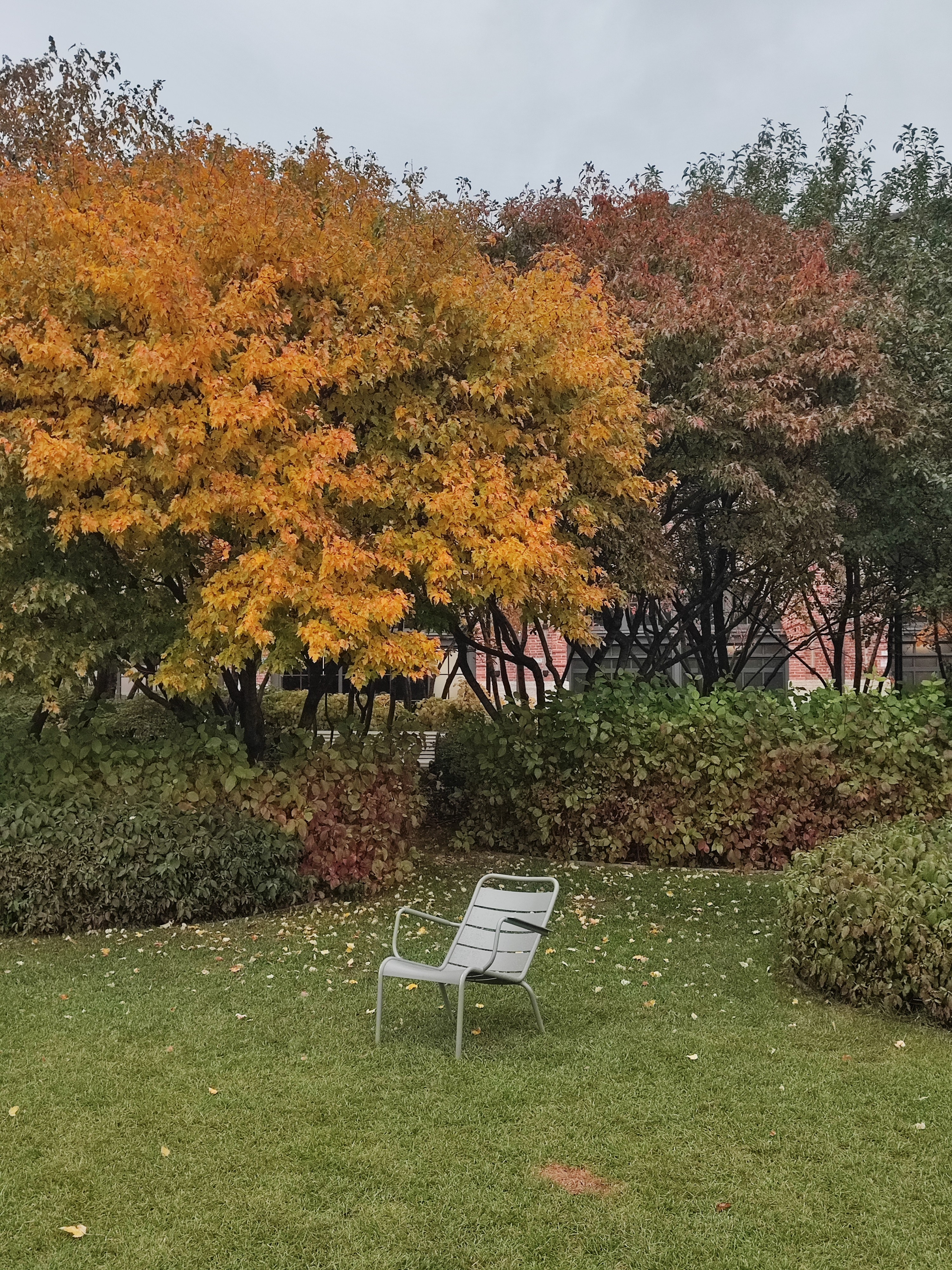 Намобилкус питерский. Репортажный фотограф Алексей Пирязев