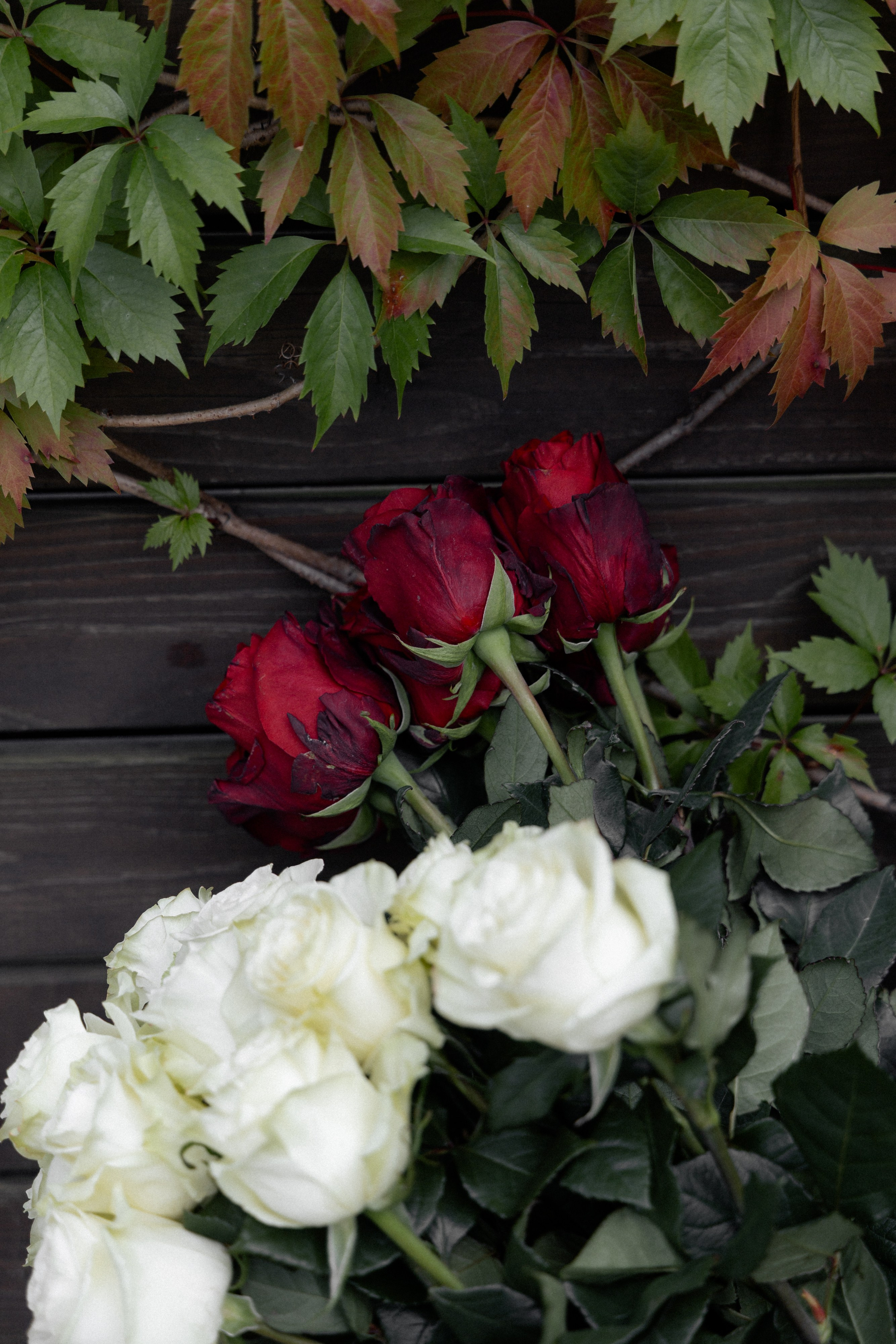Свадебная фотосессия Анастасии и Игоря в Усадьбе Легенда. Свадебный фотограф в Минске/Беларуси Сергей Спиридонов
