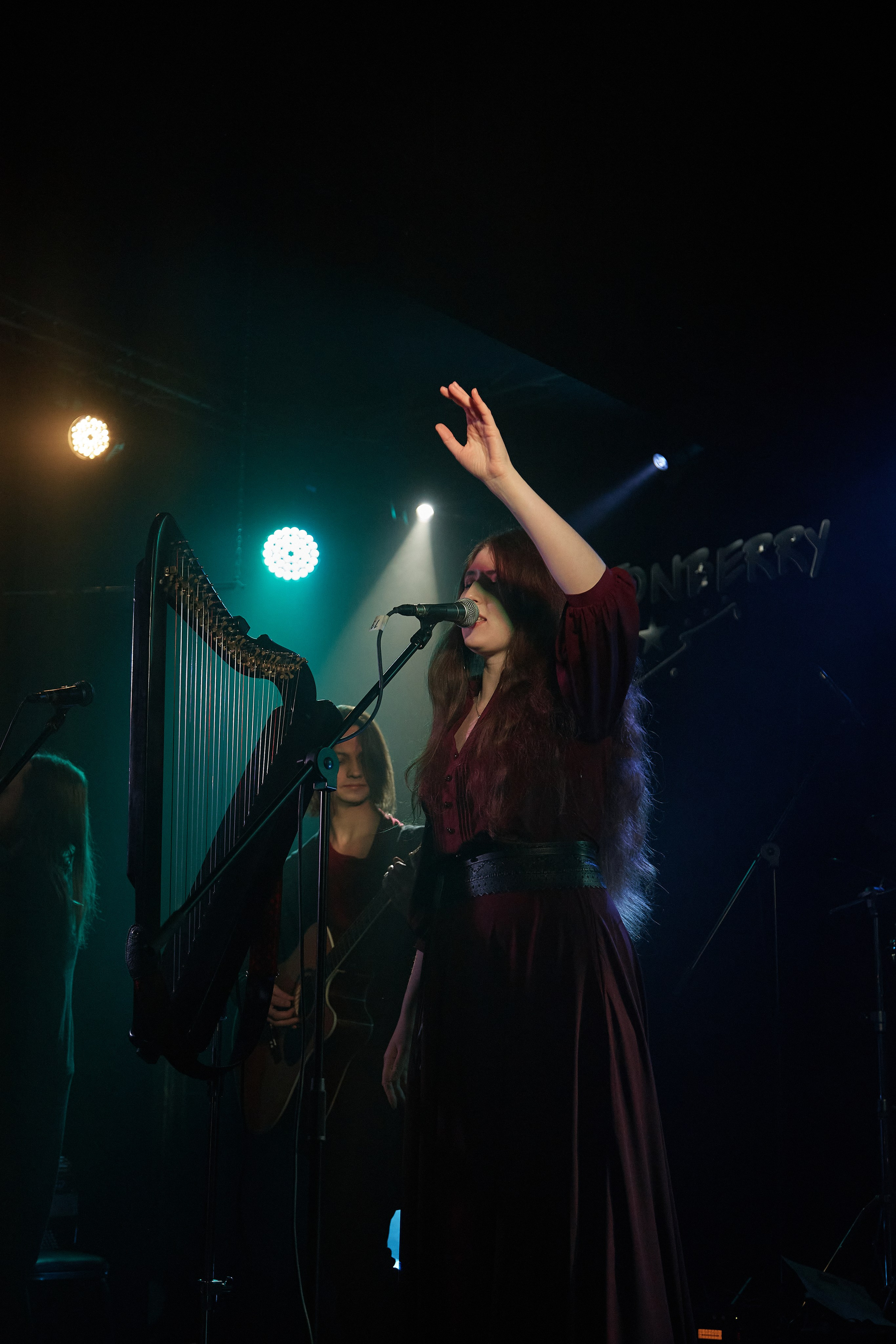 Репортаж концерта «Земля Легенд». Екатерина Осипова — профессиональный фотограф в Москве