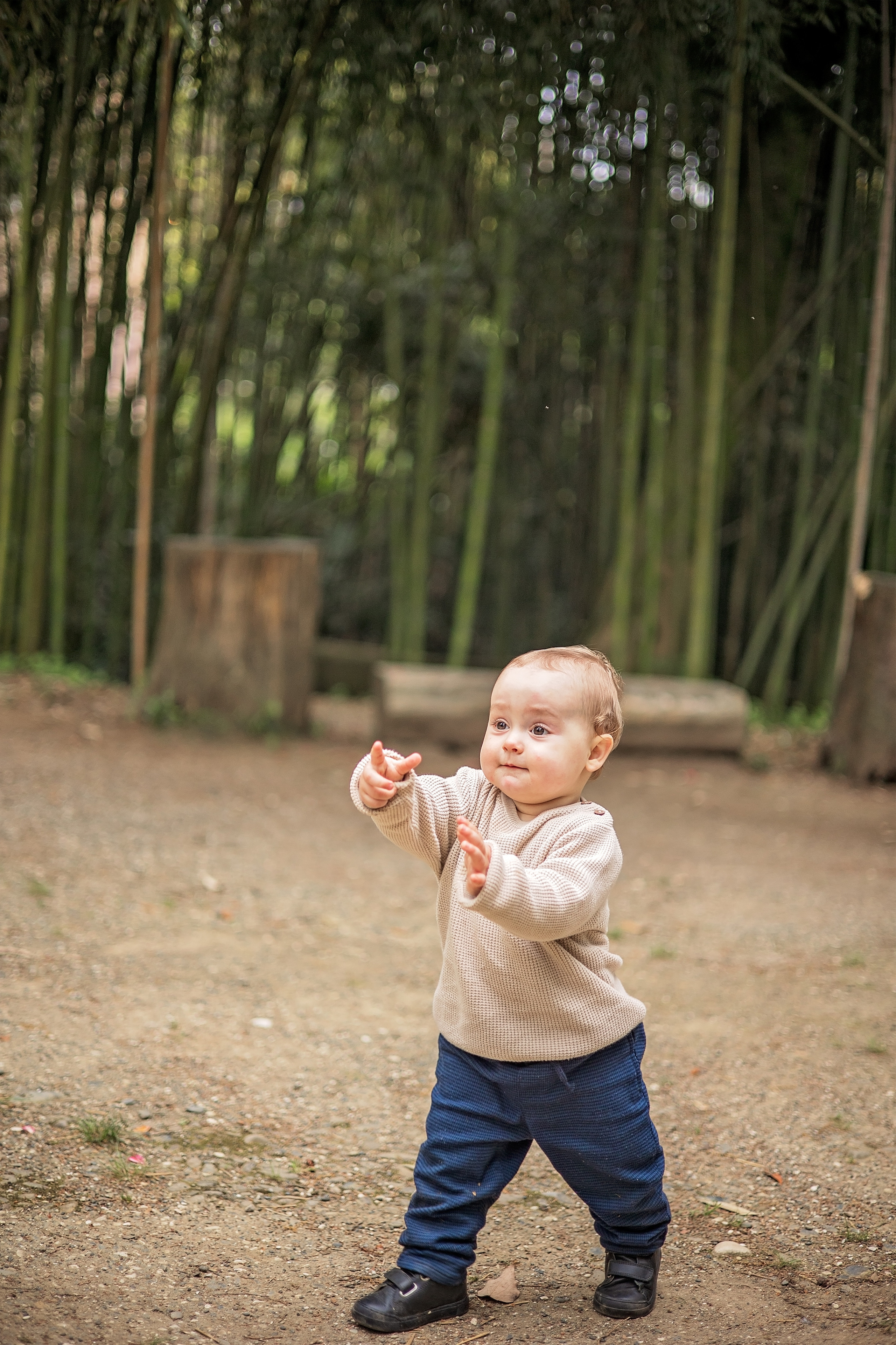 Прогулка в ботаническом саду. Свадебный и семейный фотограф в Абхазии Эля Цишба