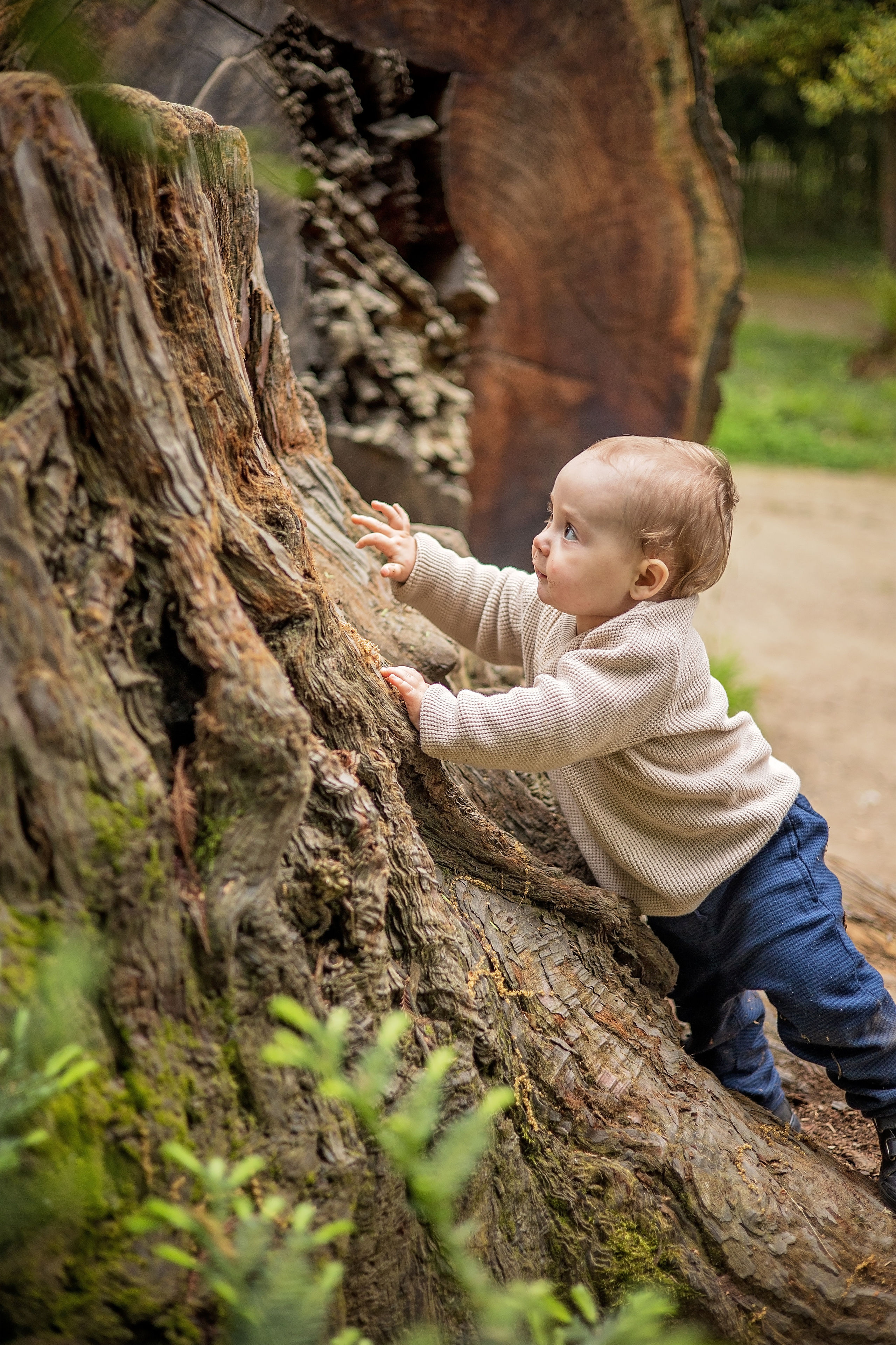 Прогулка в ботаническом саду. Свадебный и семейный фотограф в Абхазии Эля Цишба