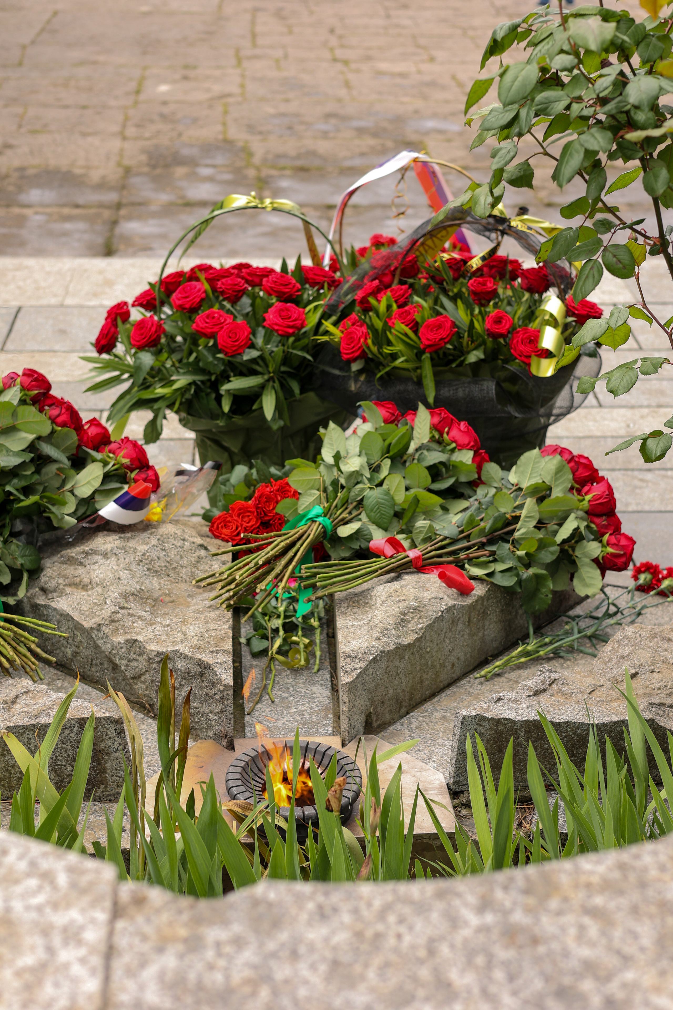 9 мая 2022 год. Свадебный и семейный фотограф в Абхазии Эля Цишба