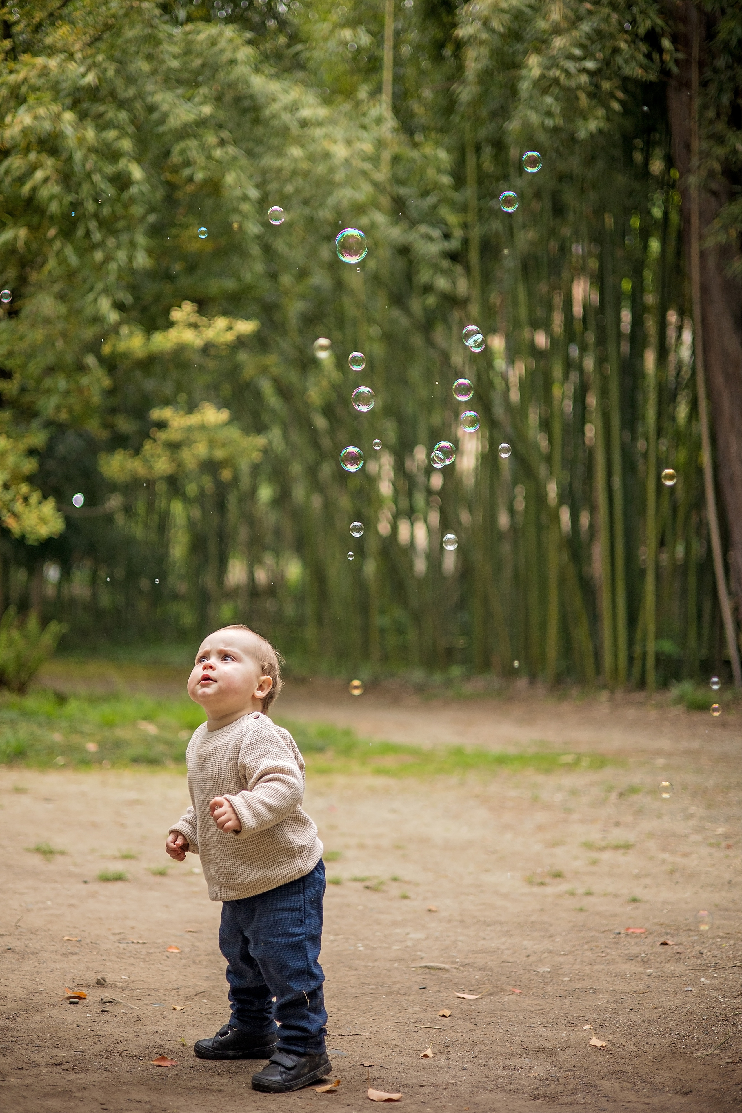 Прогулка в ботаническом саду. Свадебный и семейный фотограф в Абхазии Эля Цишба