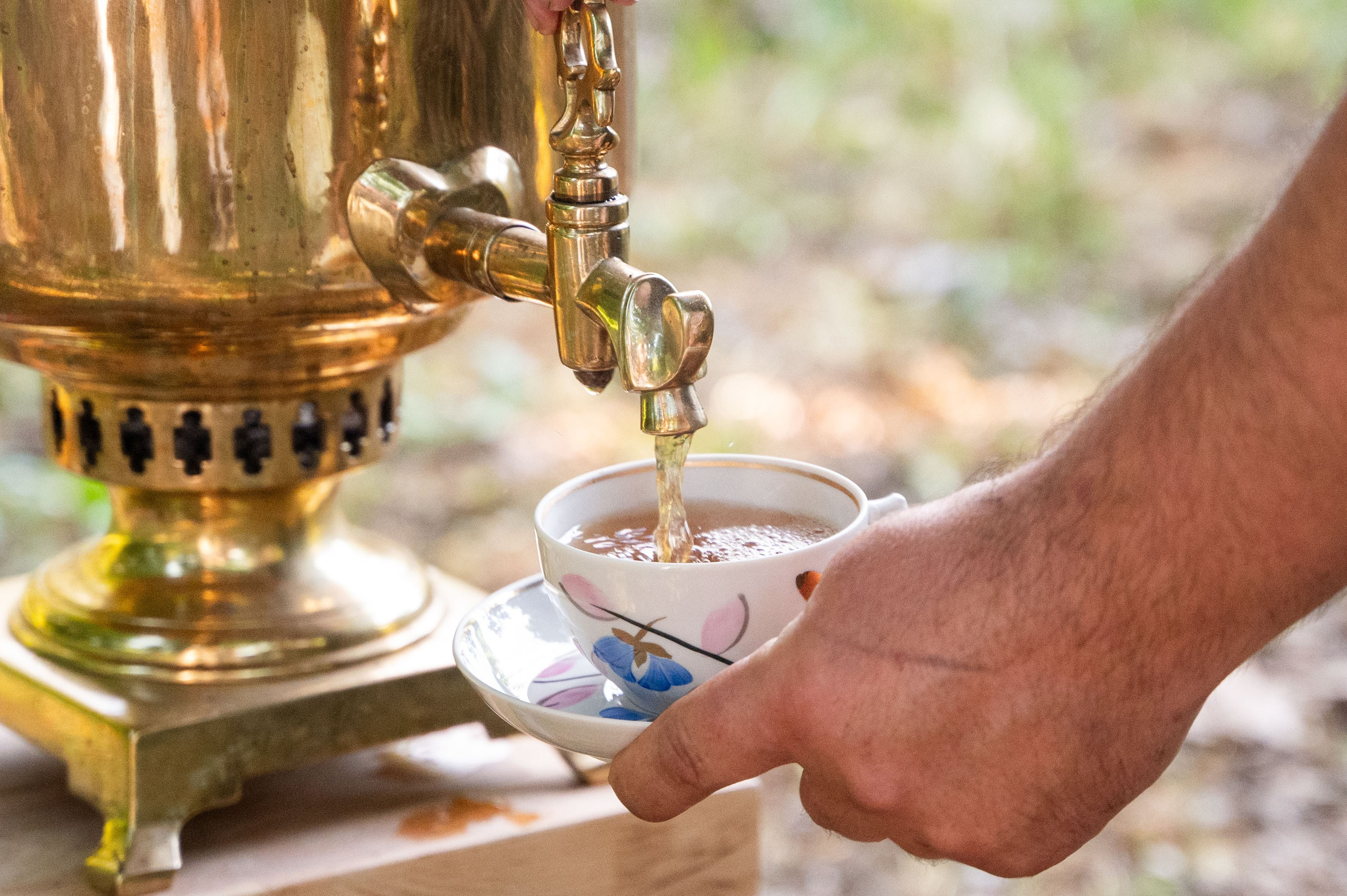 Презентация Музейного лета в Дворяниново. Большакова Полина — фотограф в Туле
