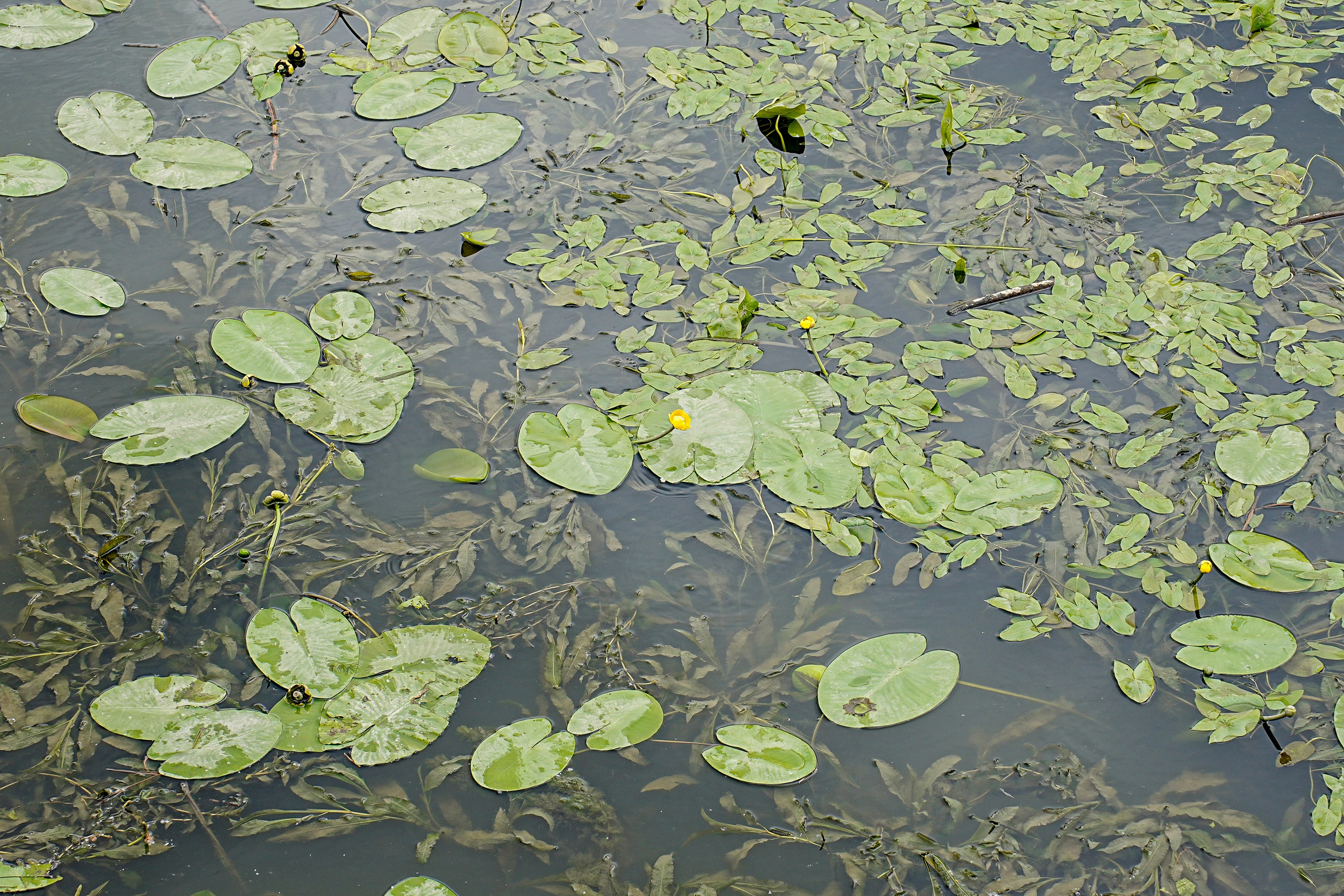 Живет художник. Arseniy Karchevskiy I Photographer