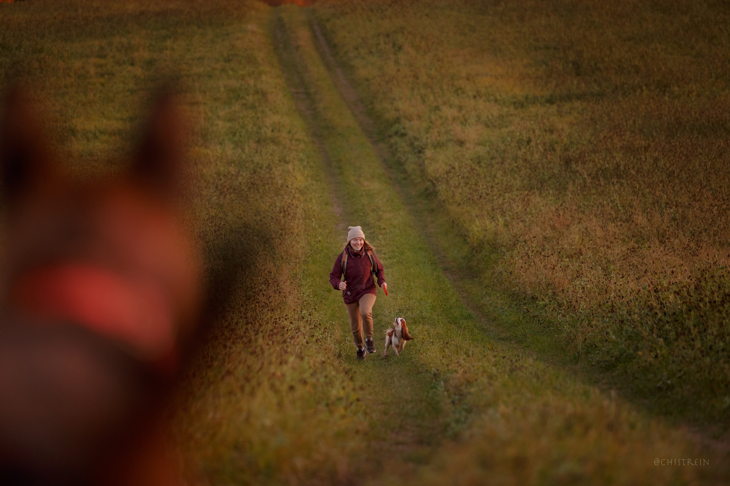 Октябрьский закат в полях. Алина и Лео. Фотограф-анималист Наталия Чистюхина в г. Сосновый Бор и ЛО