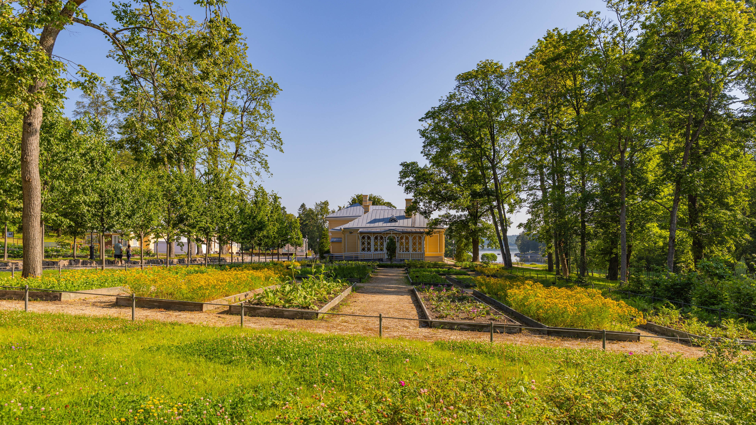 2025 07 Выборг — Сортавала — Великий Новгород — Псков. Фотографии