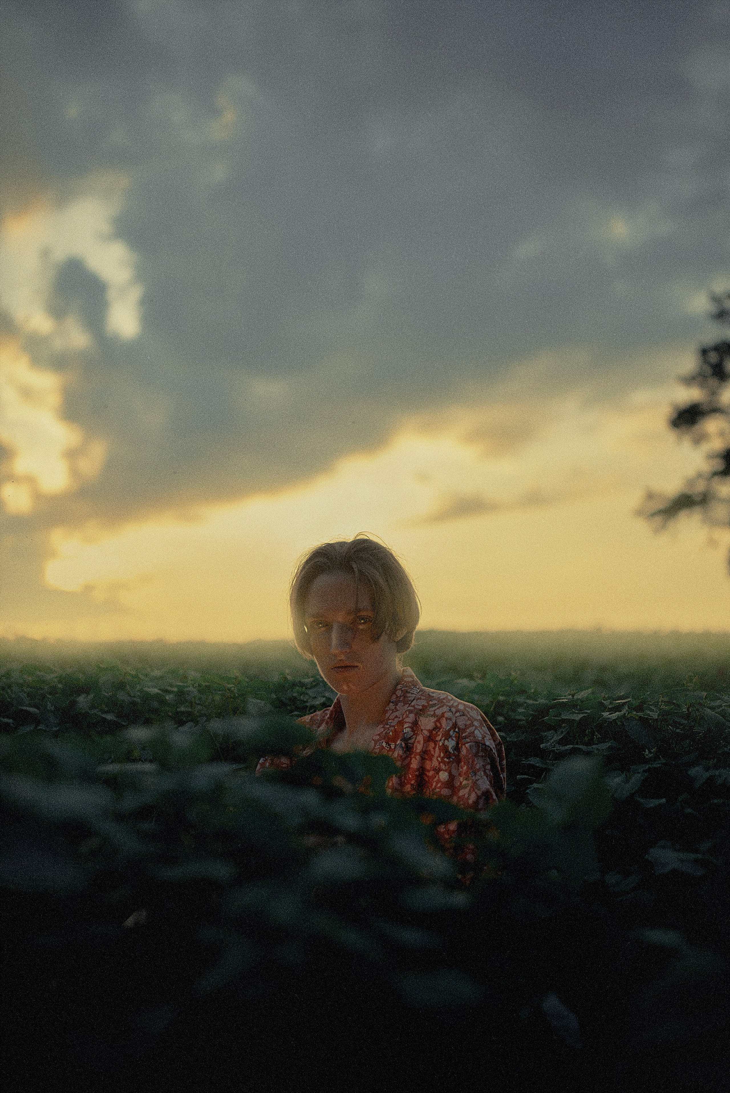 Игорь в гороховом поле. Антон Арнольд | Фотограф Минск