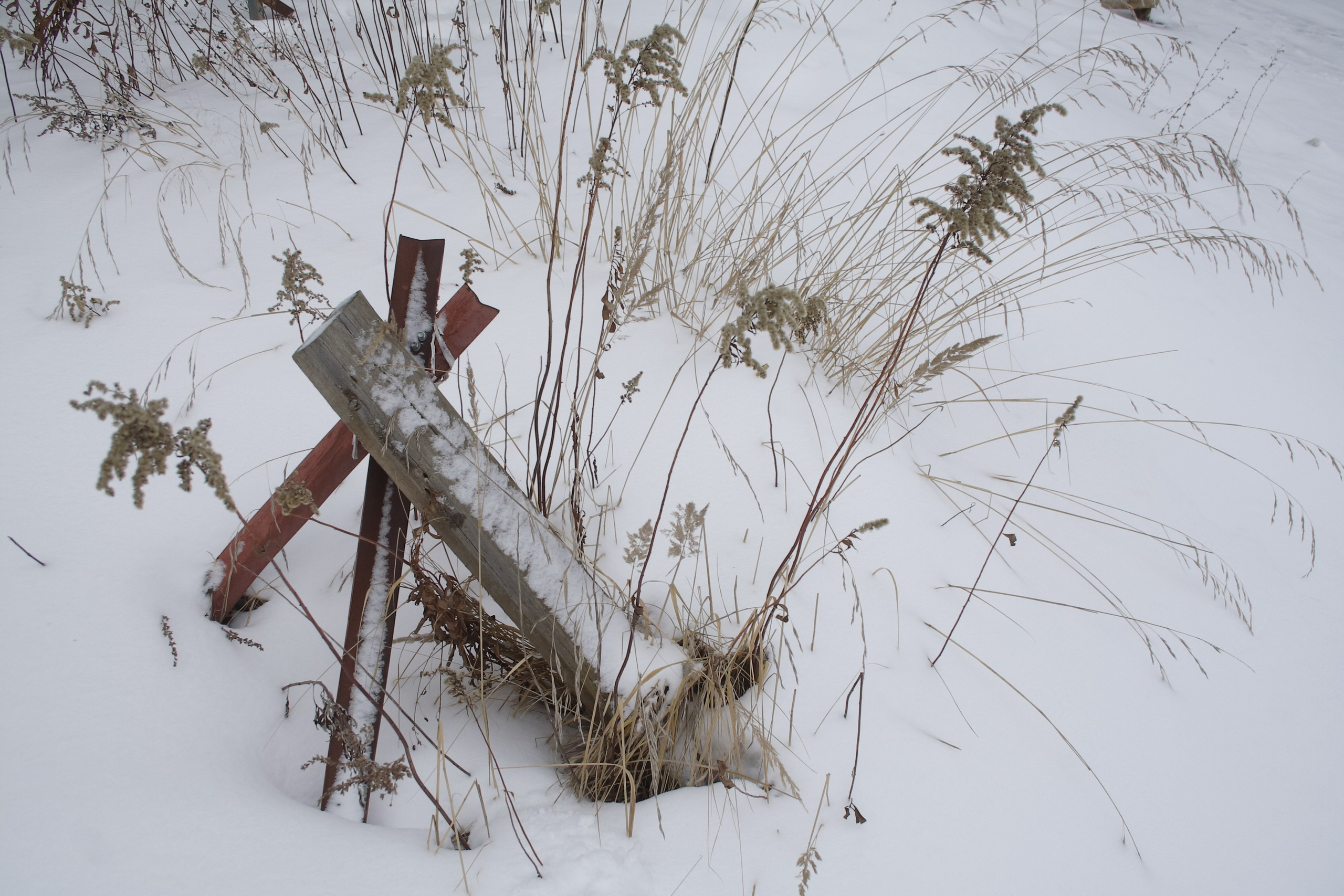 Старое природное, отбирала Katamount (Катерина Горохова). Главная